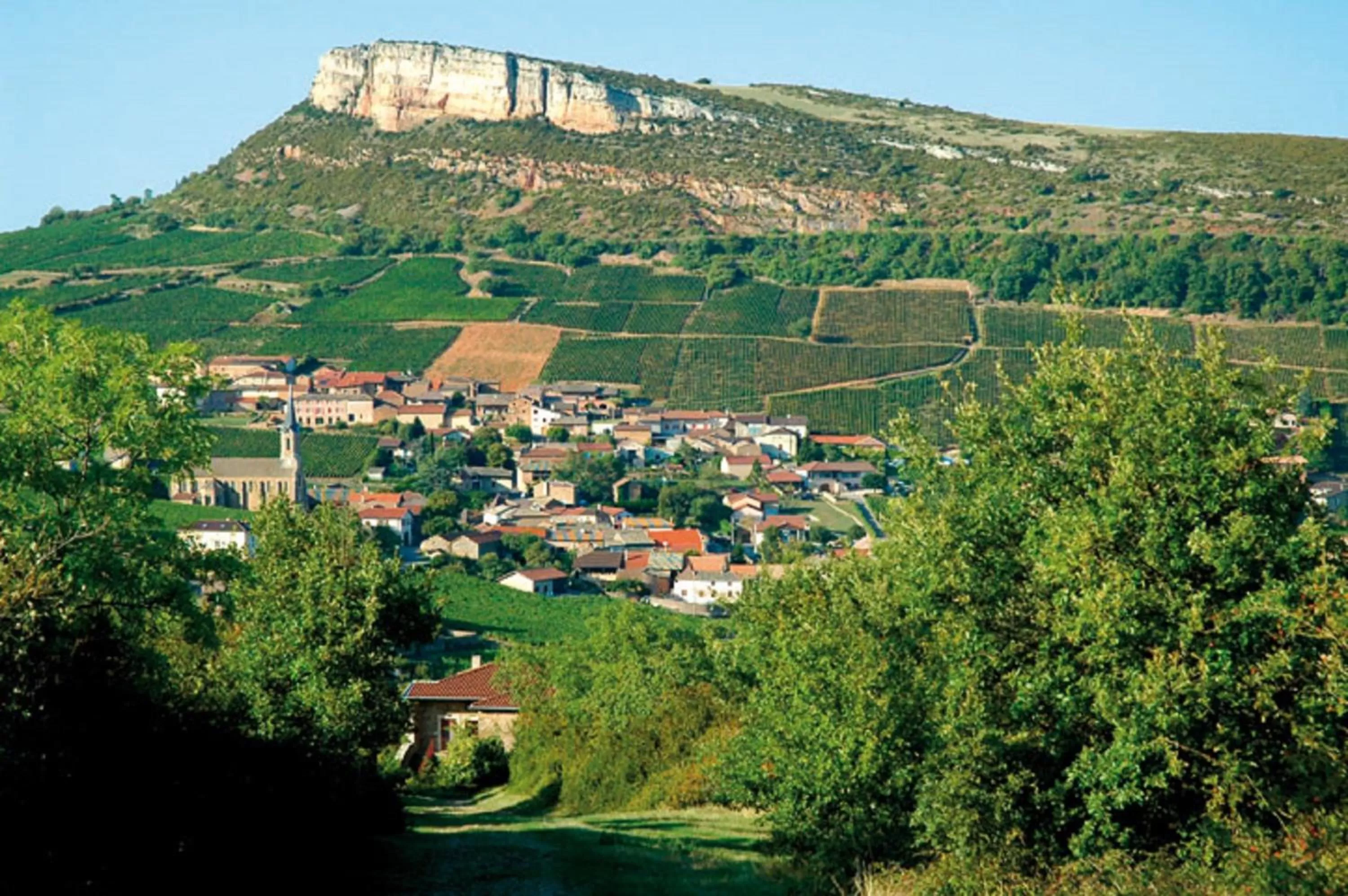 Nearby landmark in ibis Styles Macon Centre