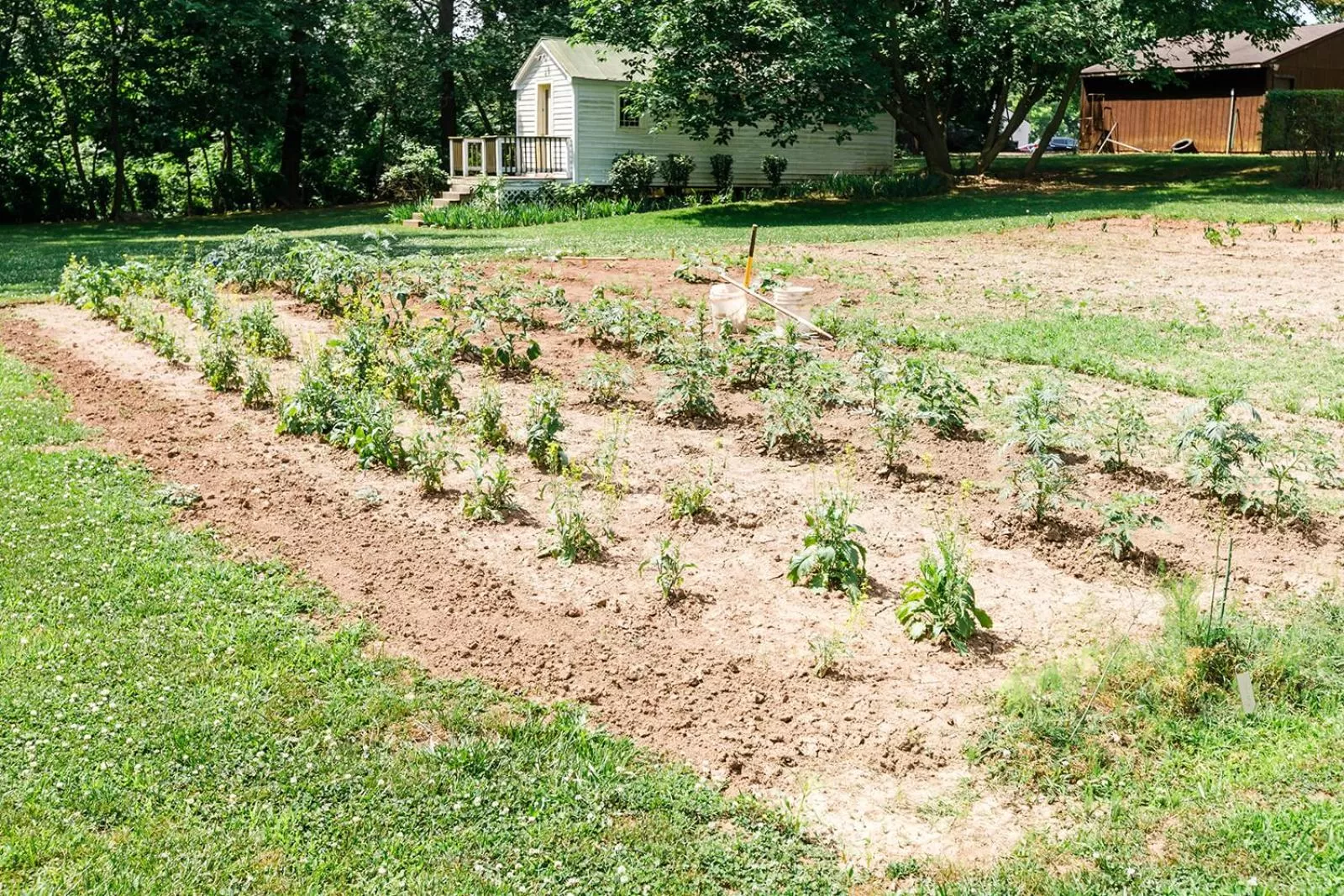 Garden in The Babcock House