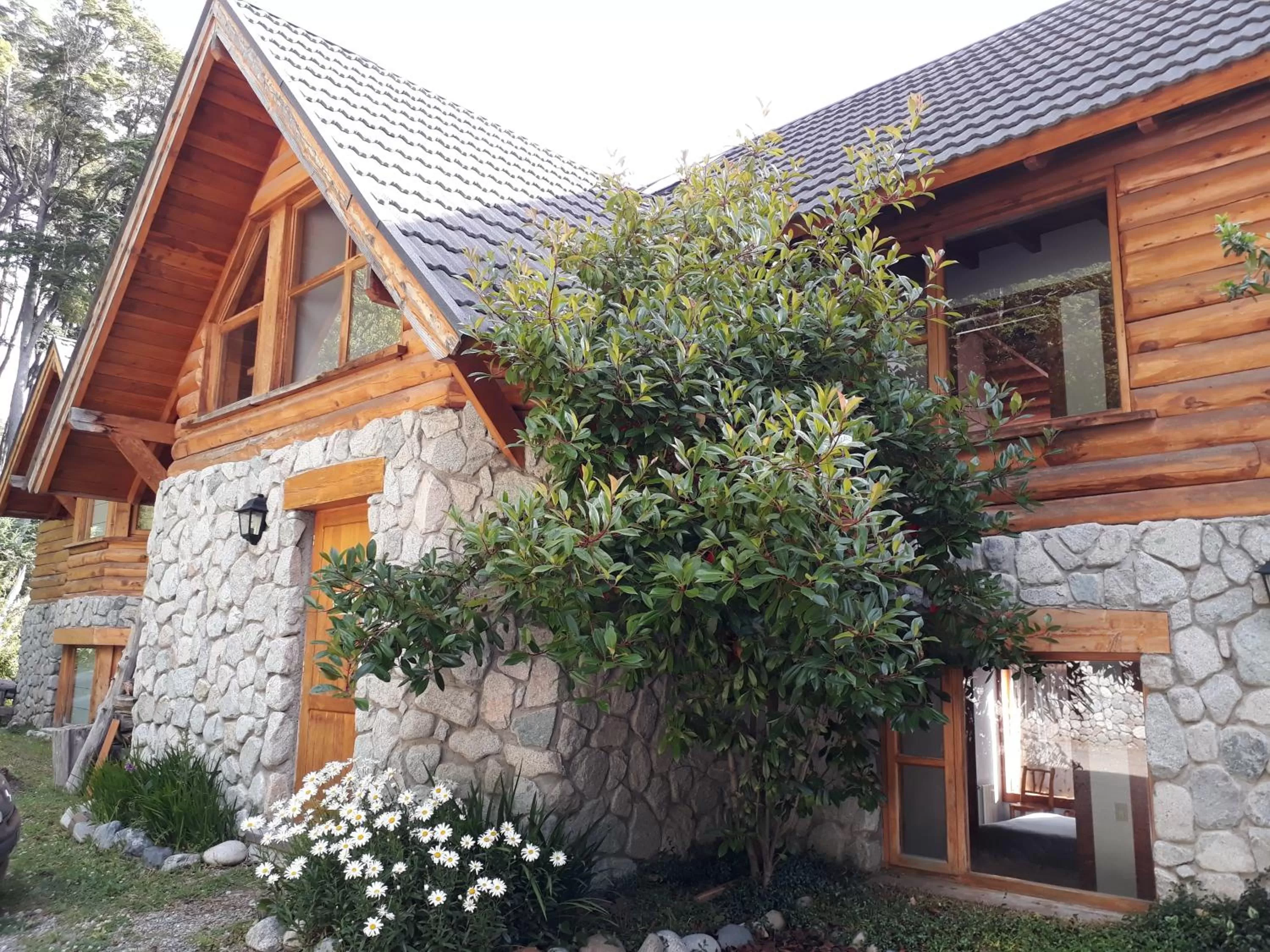 Property Building in Amigos del Bosque