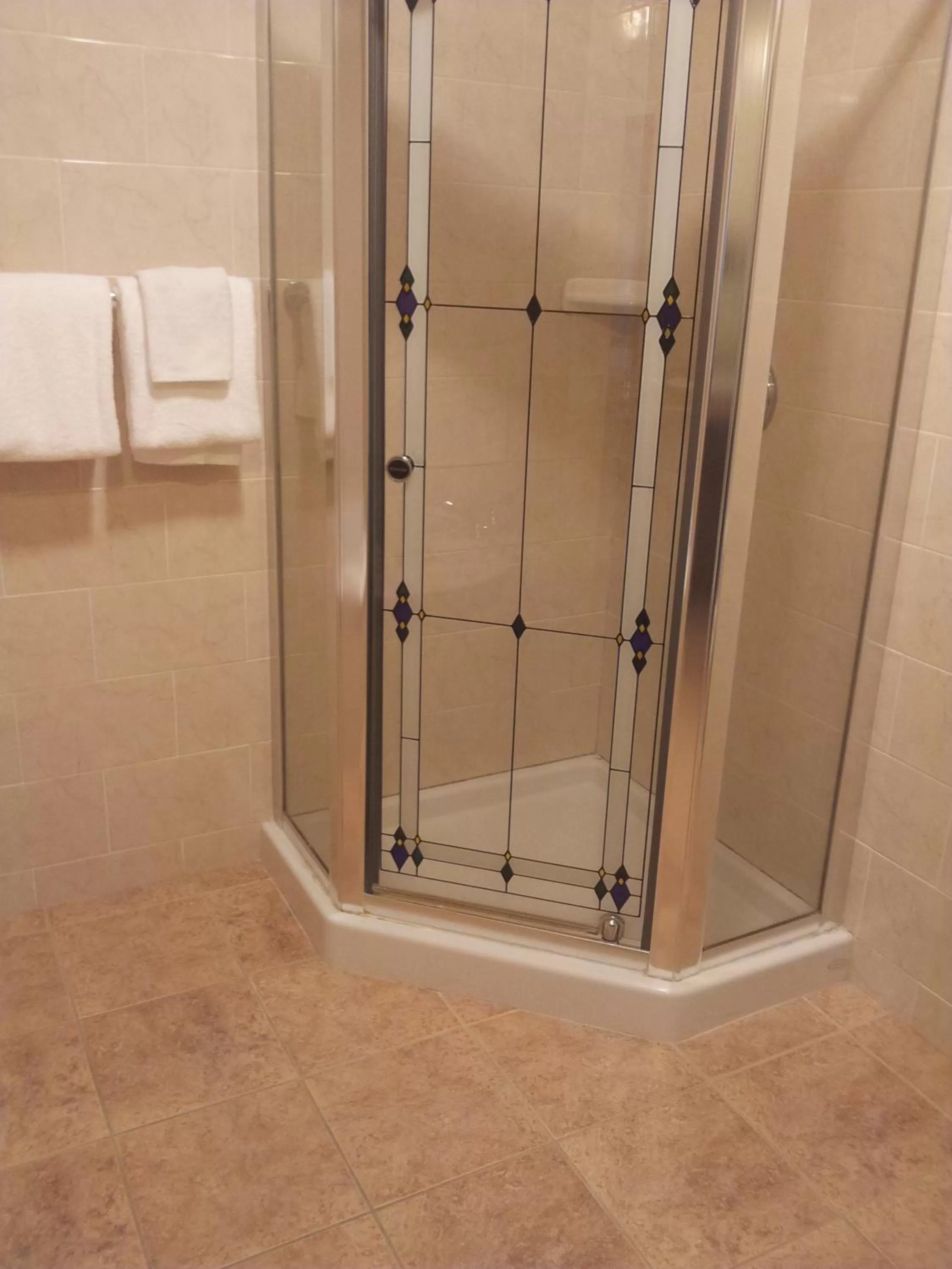 Shower in Belvedere Inn Schenectady - Albany