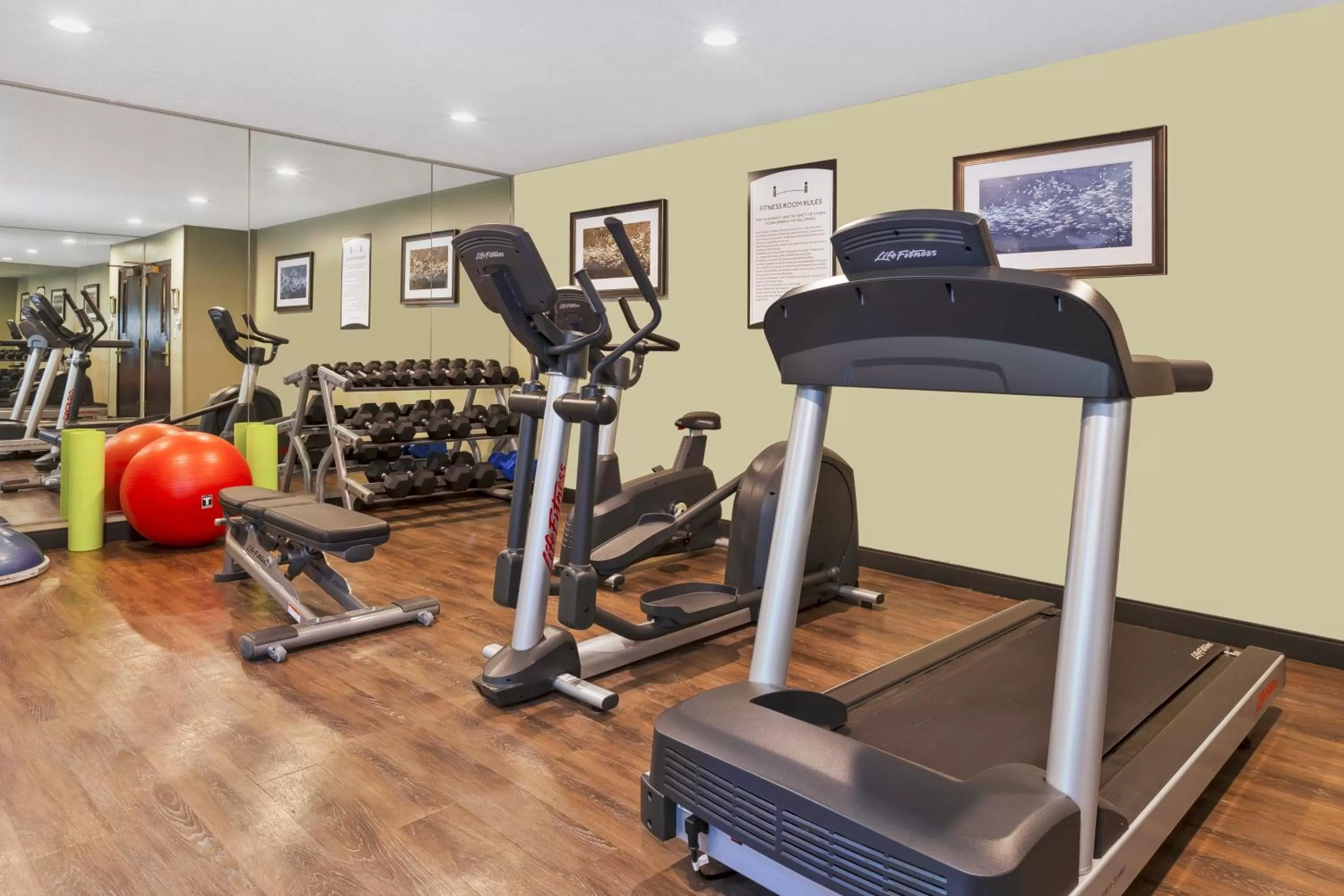 Fitness centre/facilities in Staybridge Suites Detroit-Utica by IHG