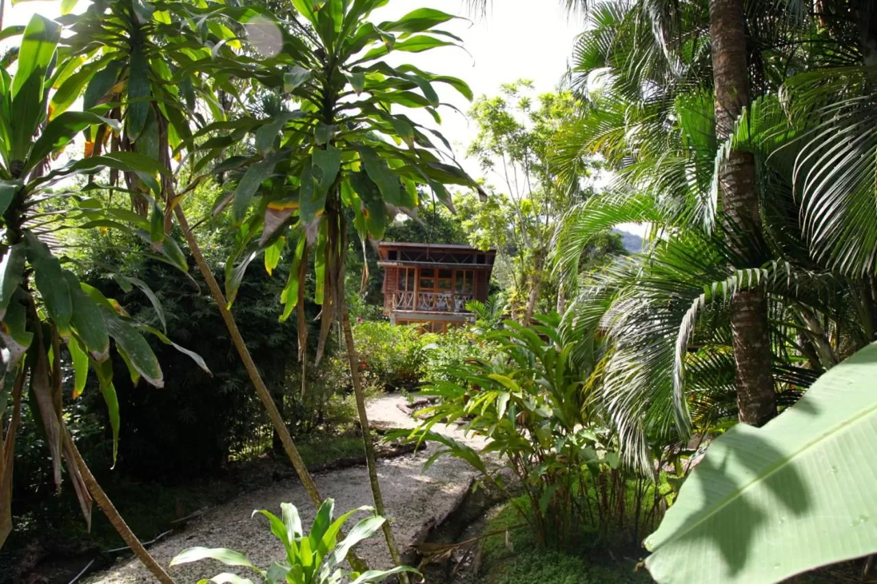 Garden, Property Building in Acajou Hotel