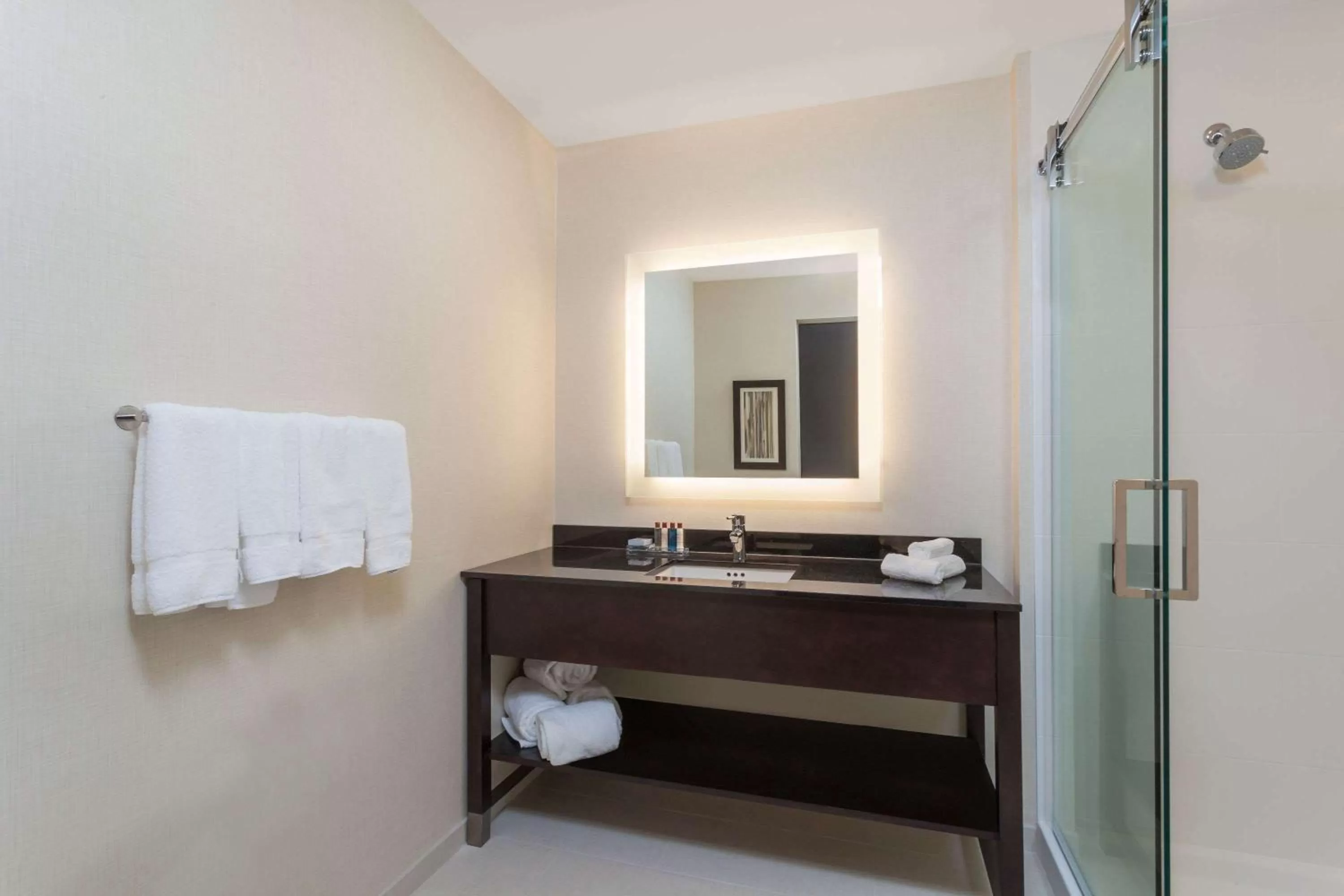 Bathroom in Wingate by Wyndham Altoona Downtown/Medical Center