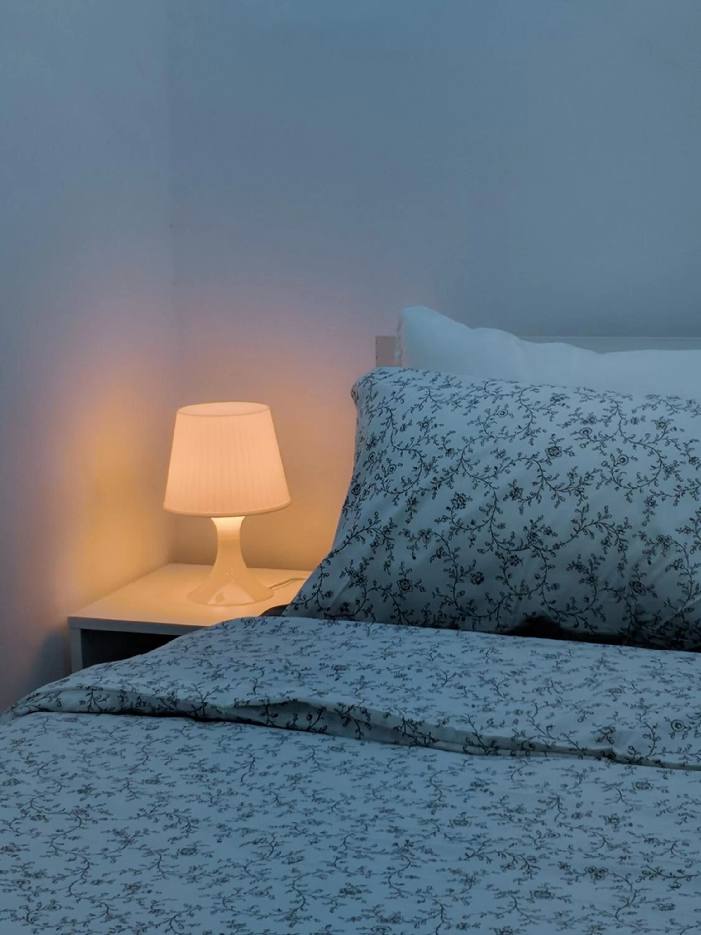 Panorama Jerash HOTEL (2)