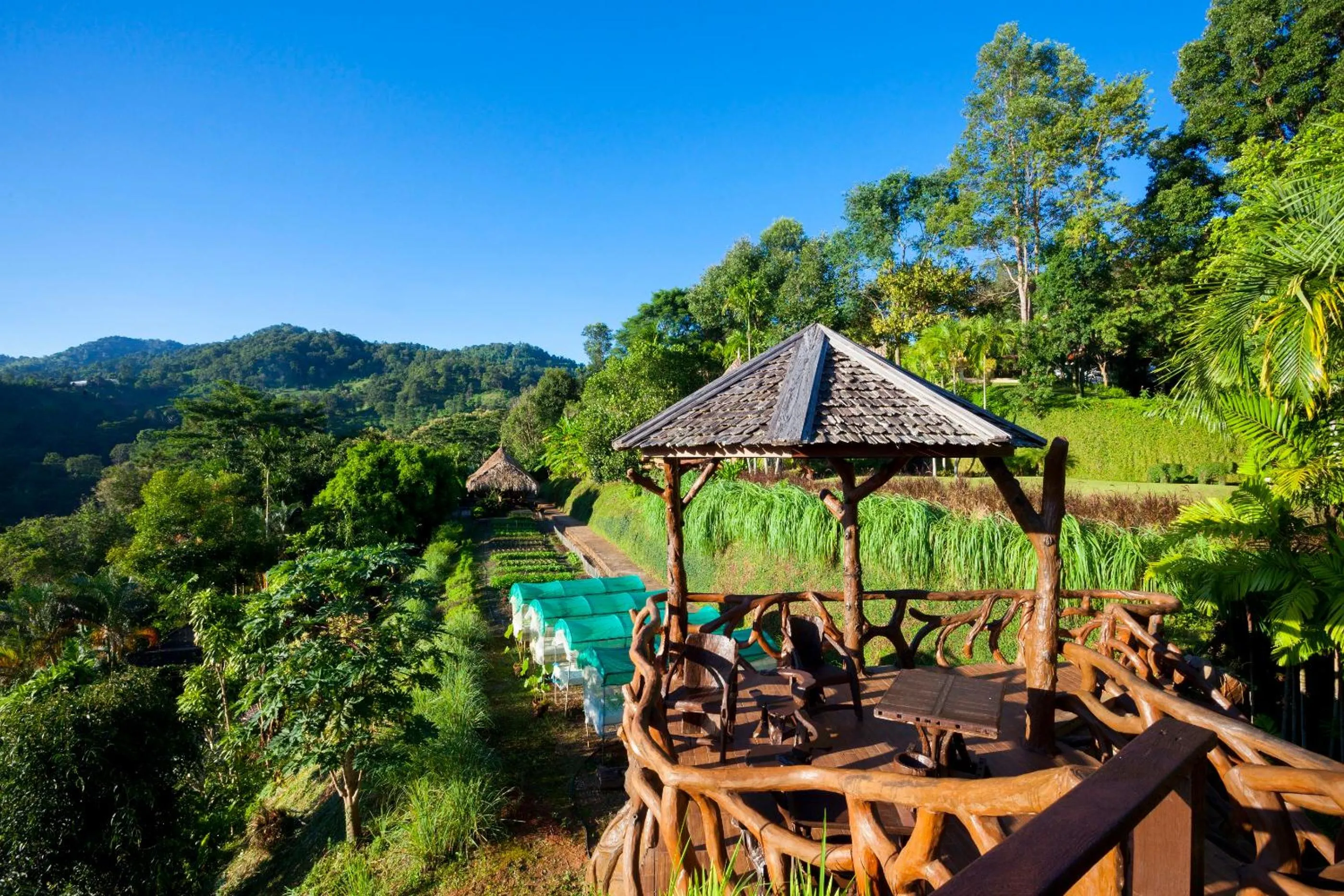 Garden in Panviman Chiang Mai Spa Resort