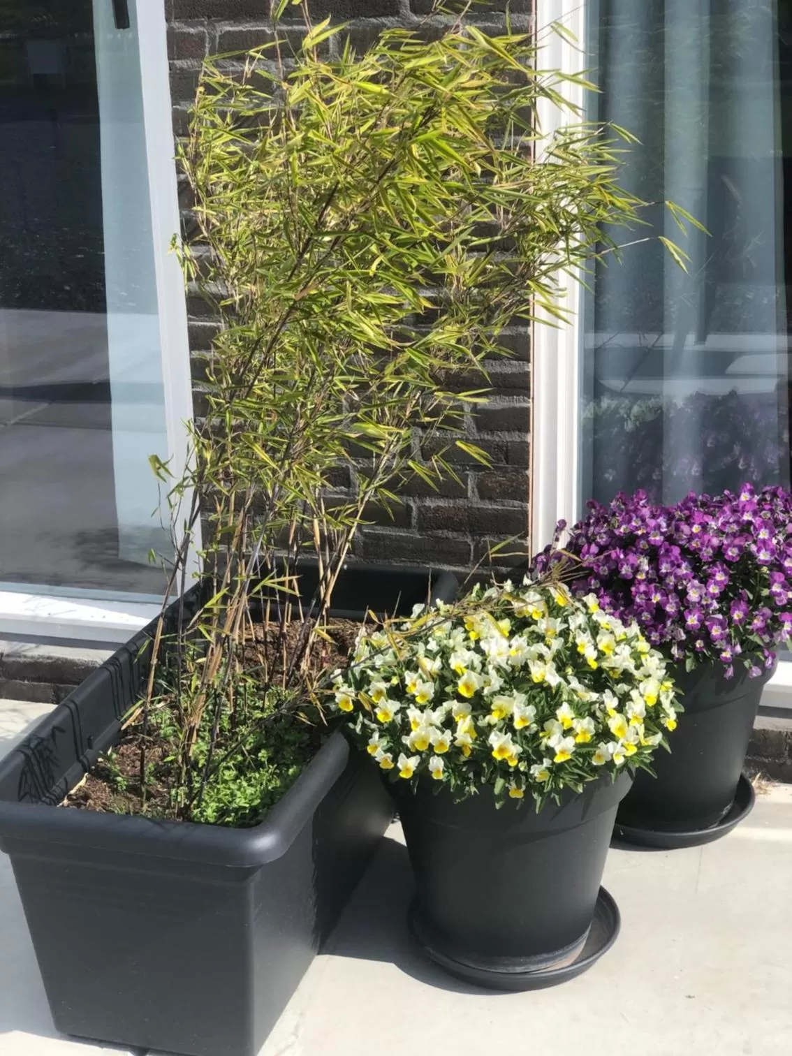 Balcony/Terrace in BnB Purmerland
