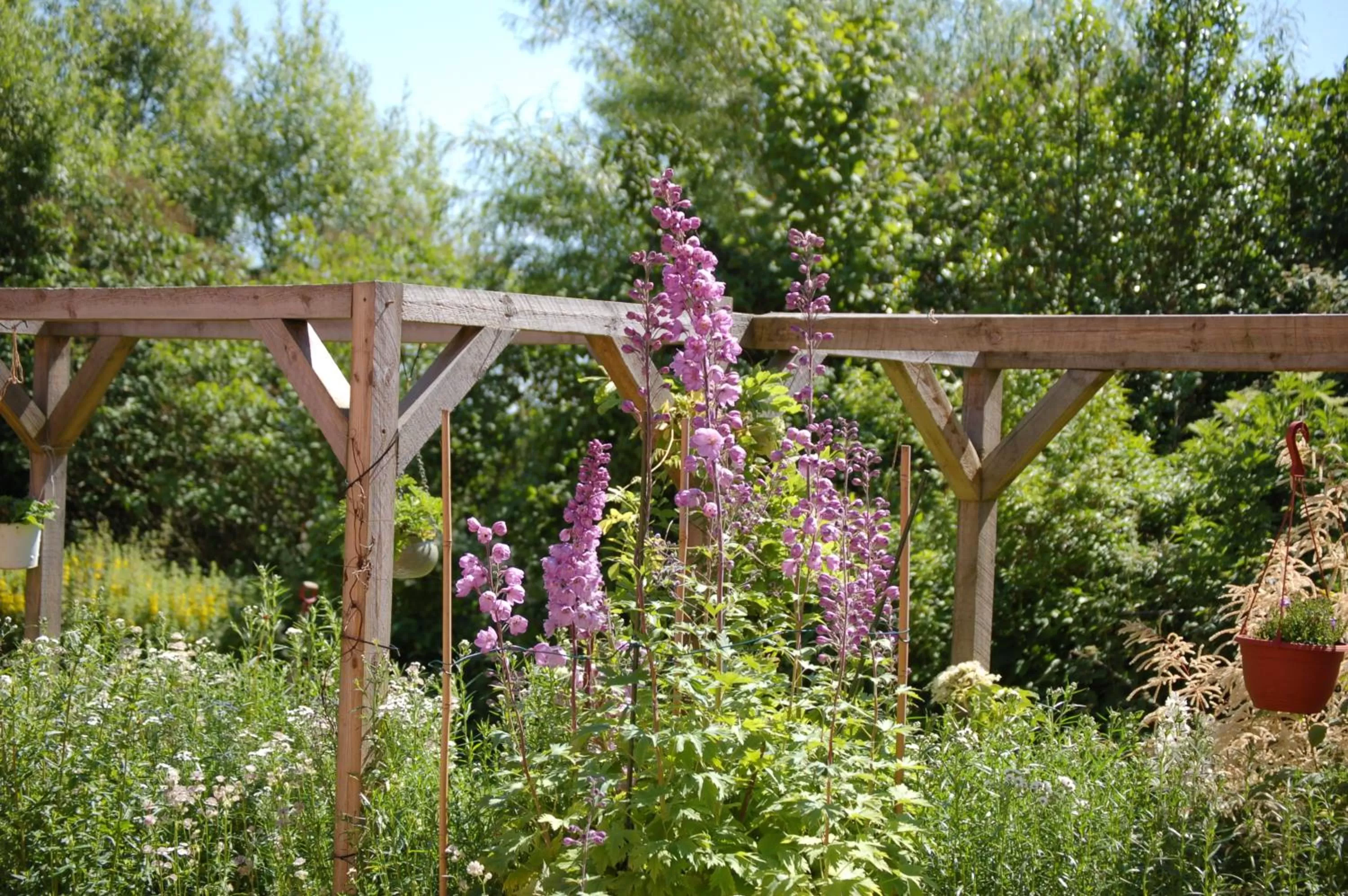 Garden in Engbjerg BnB
