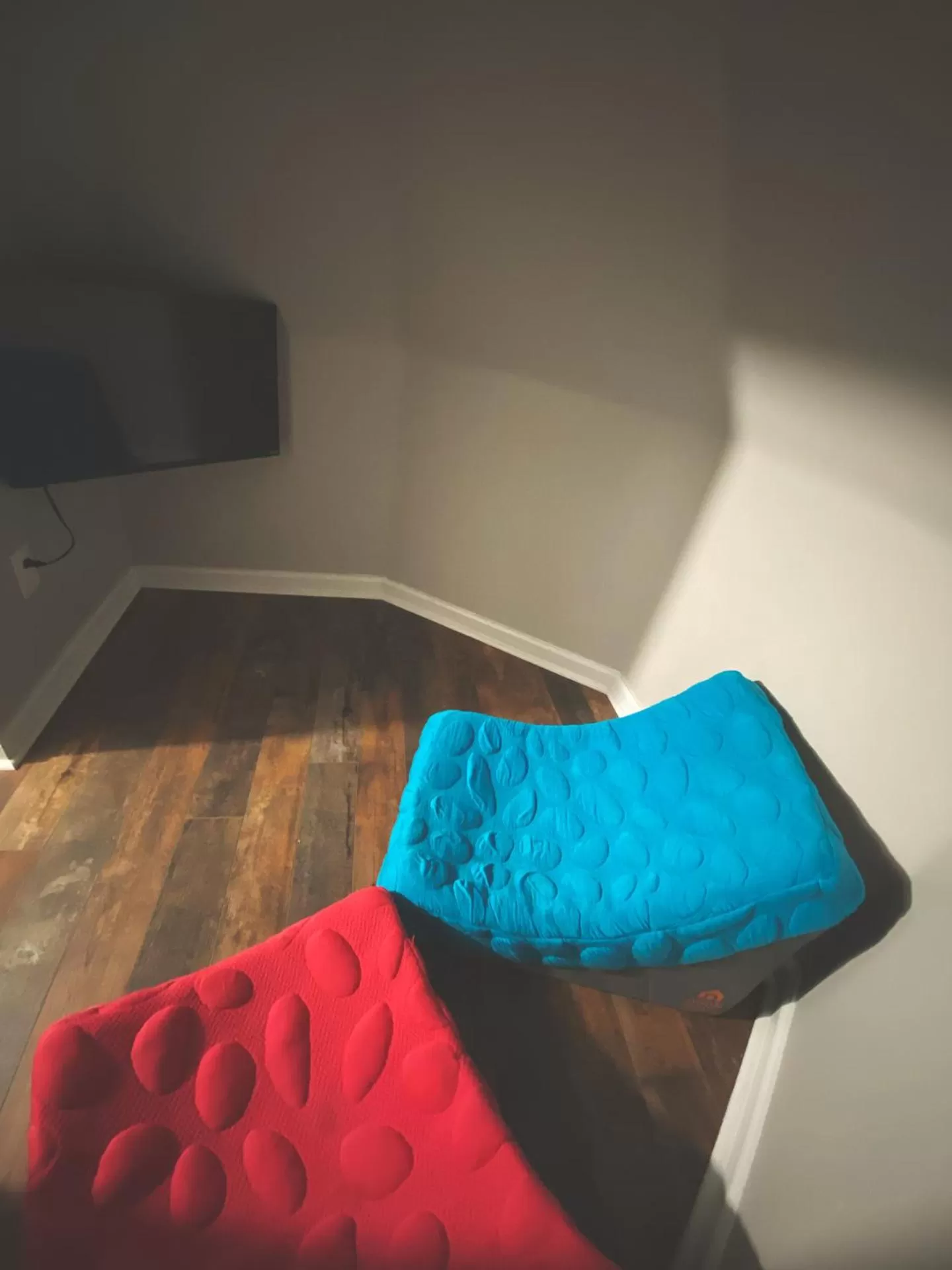 TV and multimedia in Winter Park Chateau