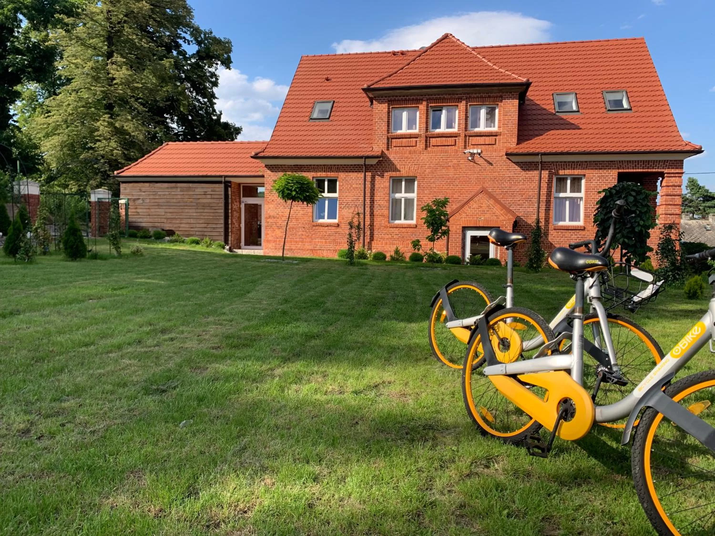 Garden in Willa Starowiejska