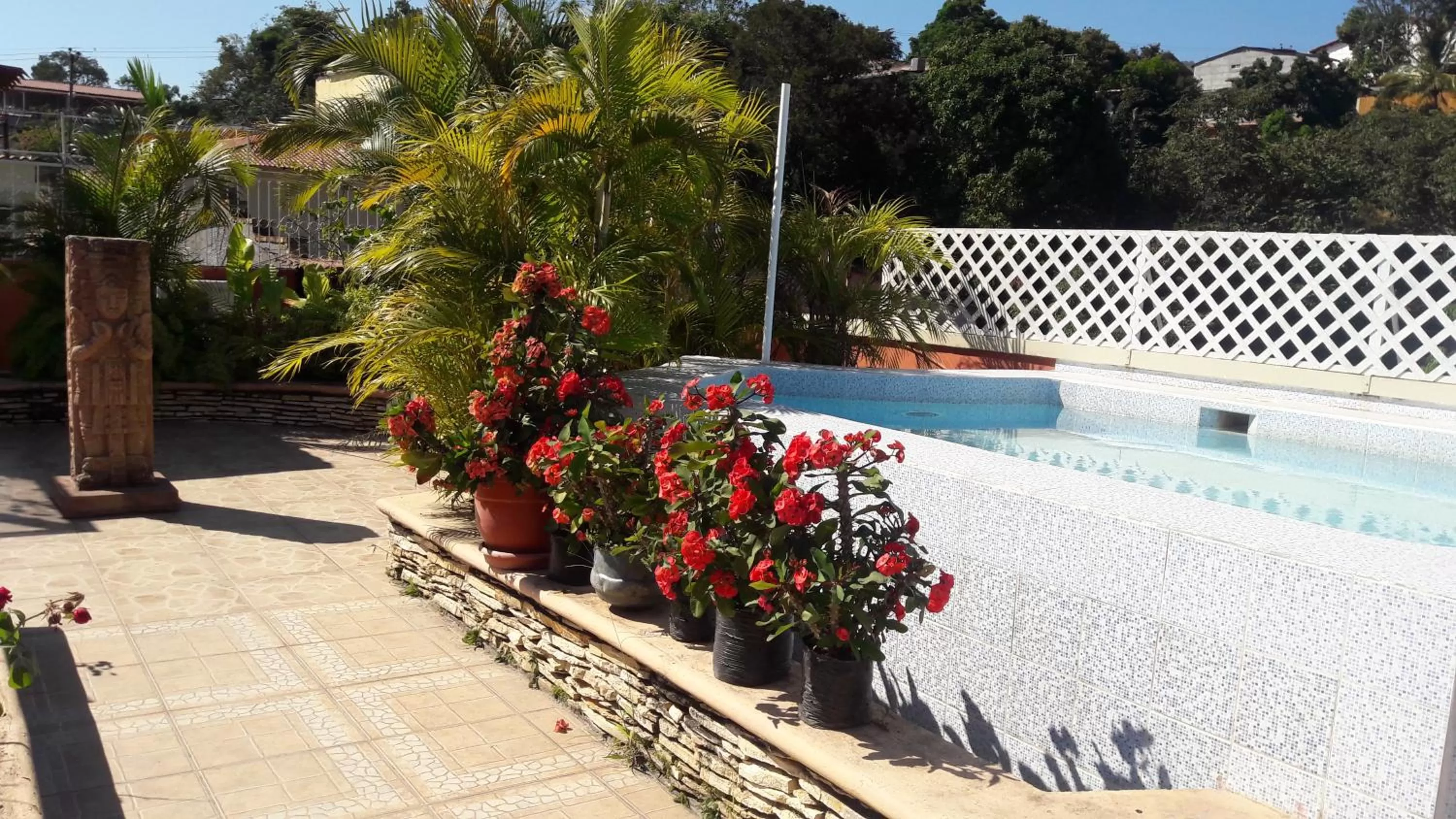 Day in Hotel Acropolis Maya