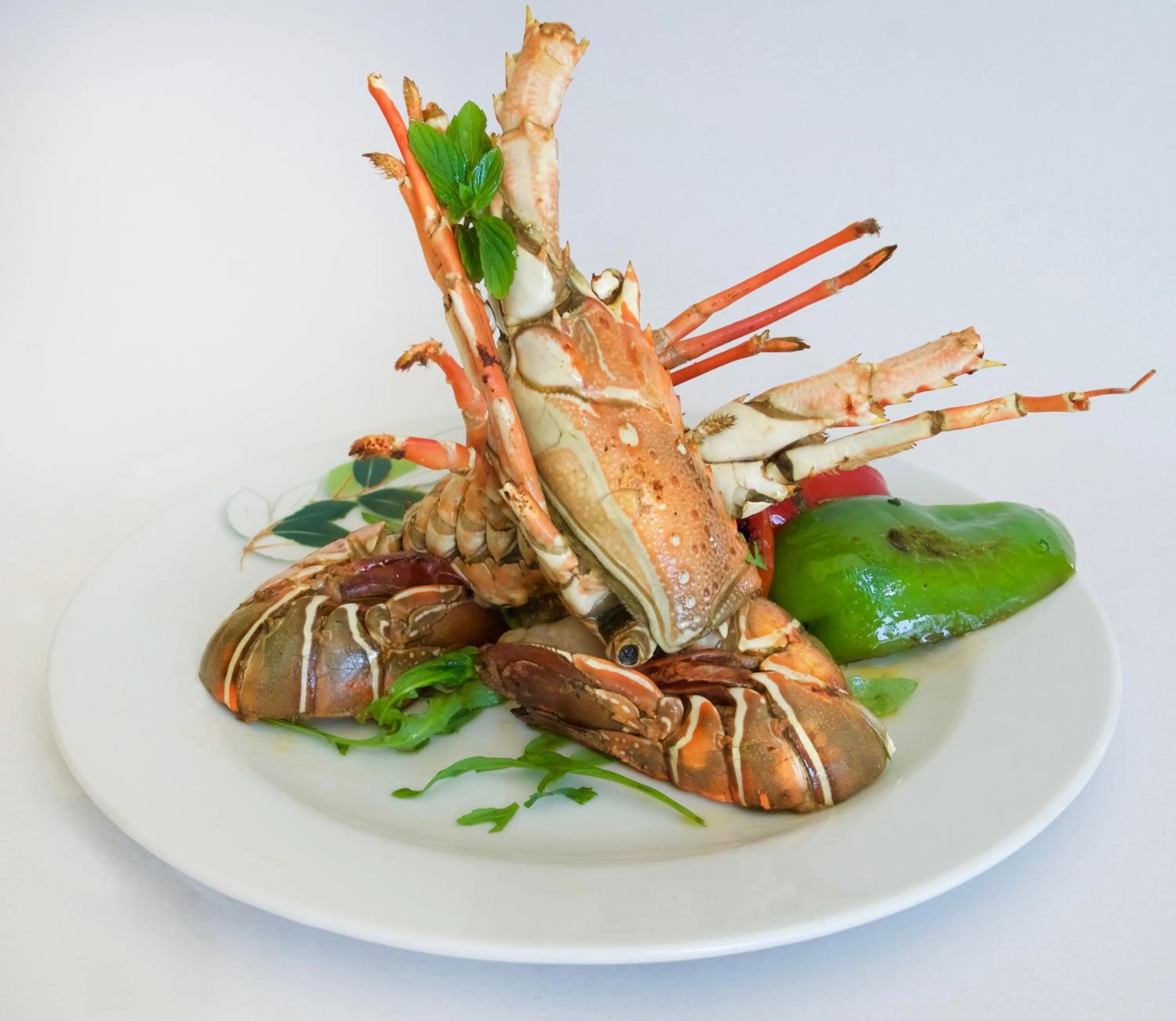 Food and drinks in Albatros Spa & Resort Hotel