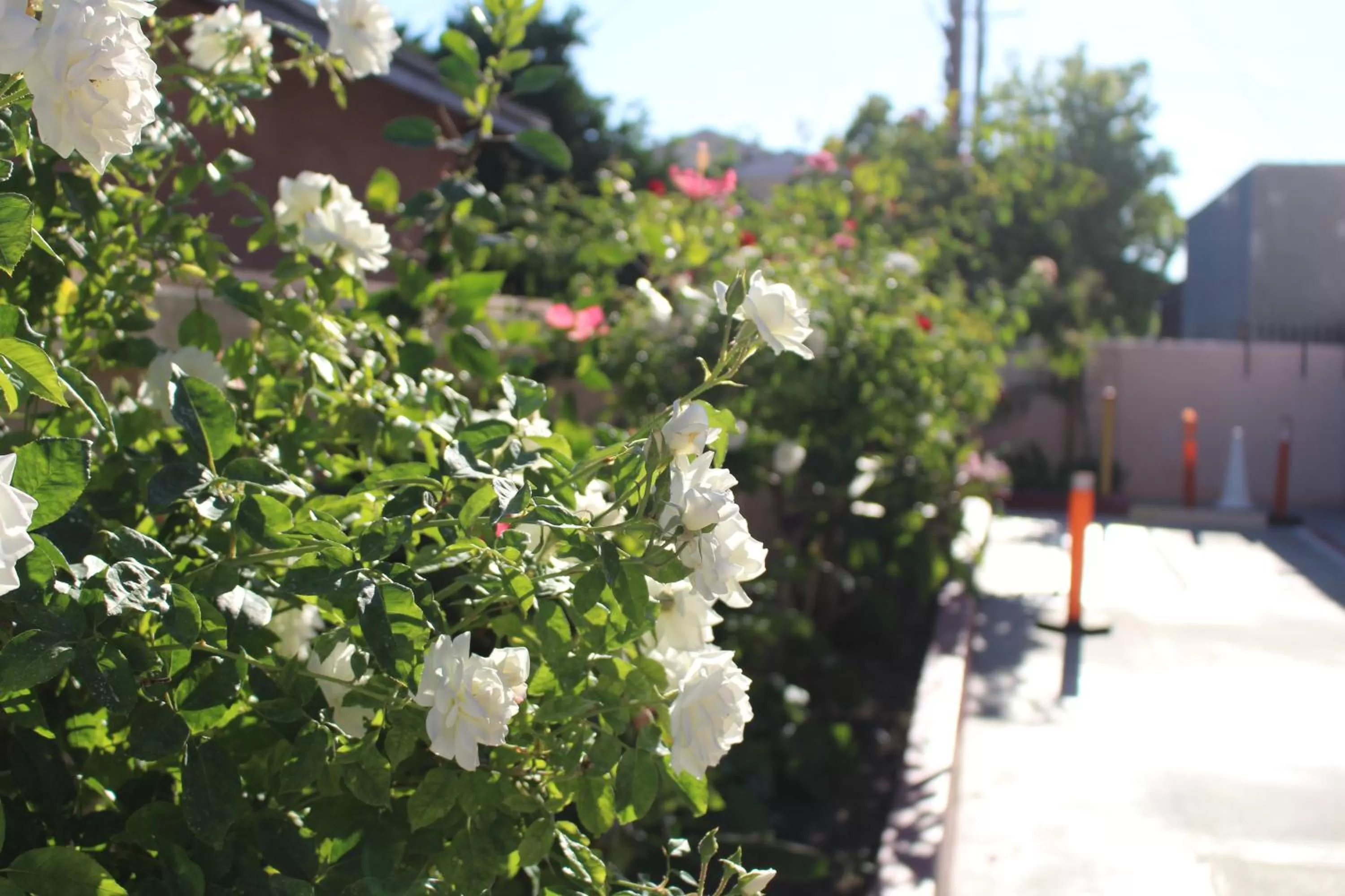 Property building in ERTH INN by AGA Maywood