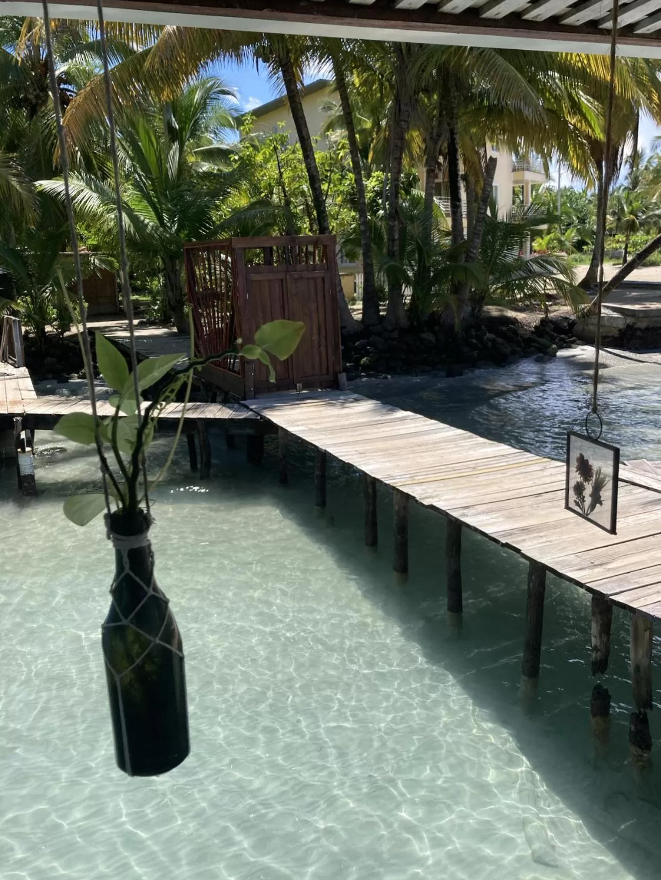 Swimming Pool in Casa Acuario Boutique Hotel