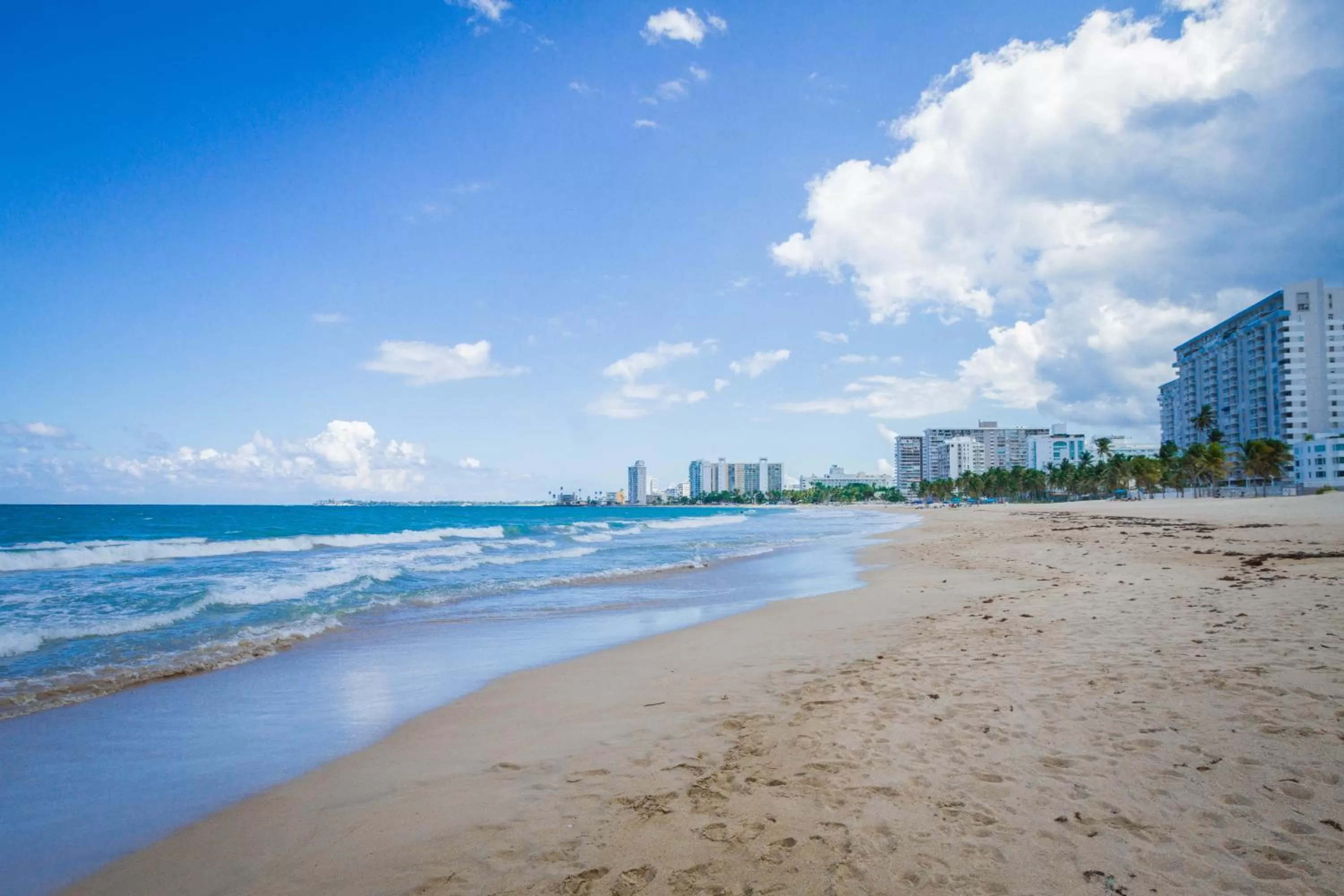 Natural landscape in TRYP by Wyndham Isla Verde