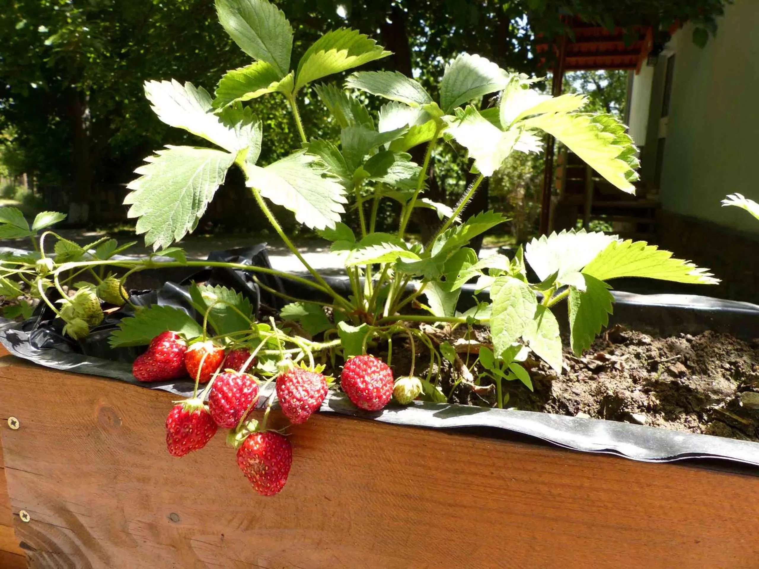 Garden in Green Stone Boutique Hotel