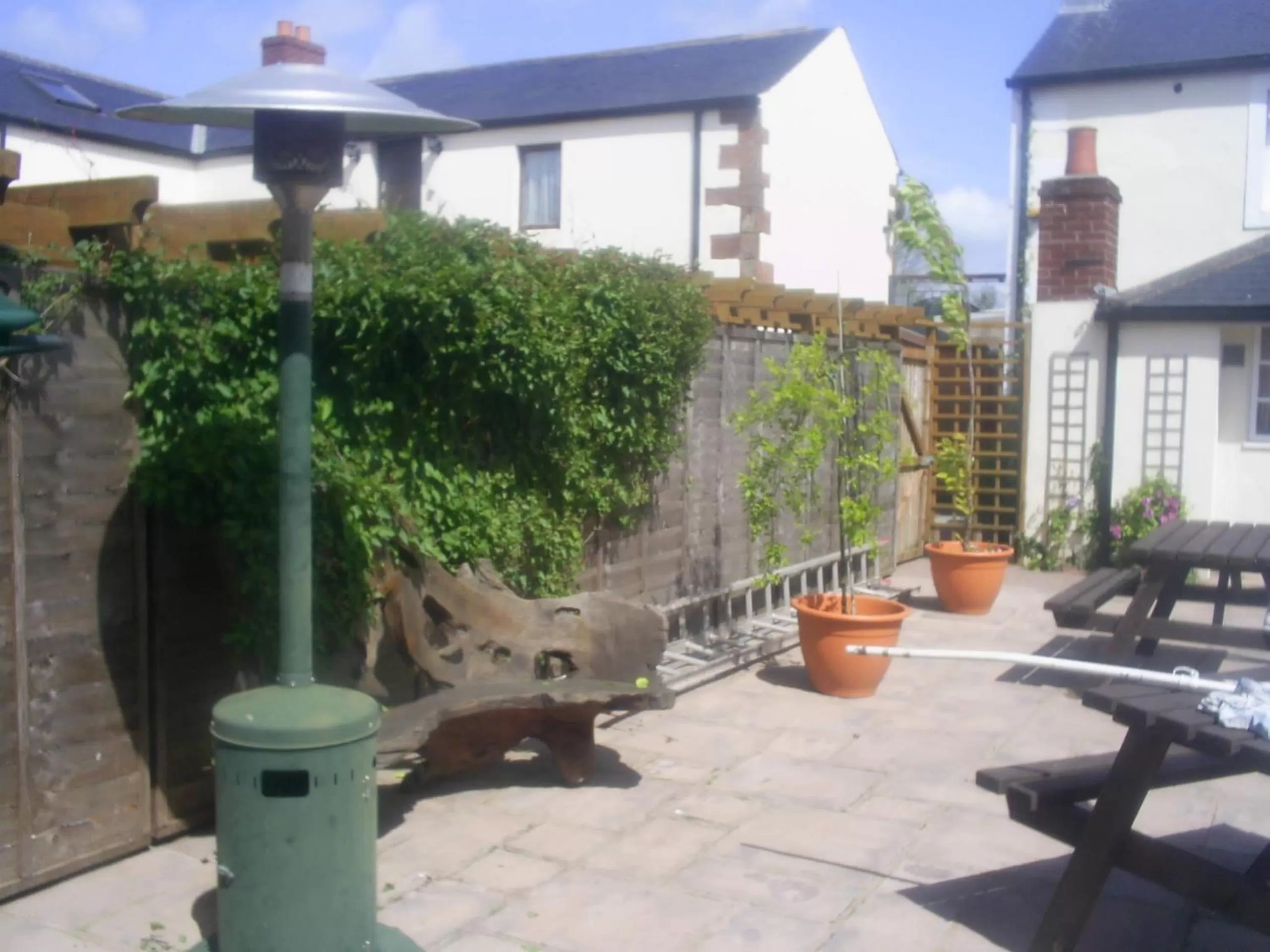 Garden in Lynebank House Hotel, Bed & Breakfast