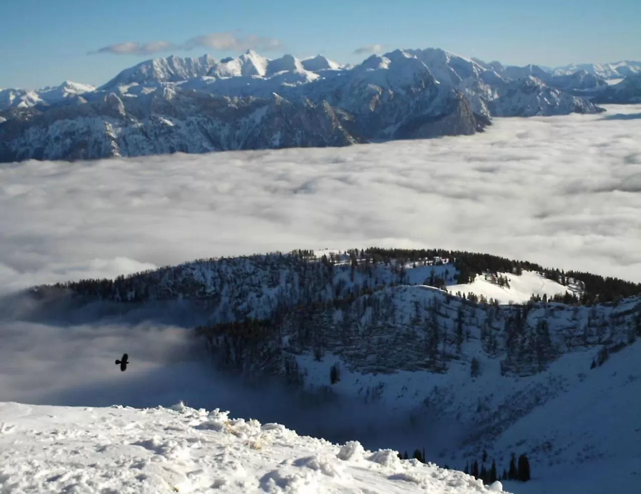 Winter in Gästehaus Inzeller Hof