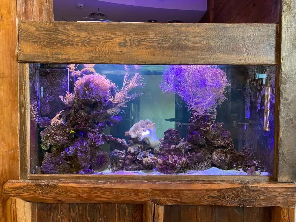 HOTEL CICHA WODA NIEPORĘT