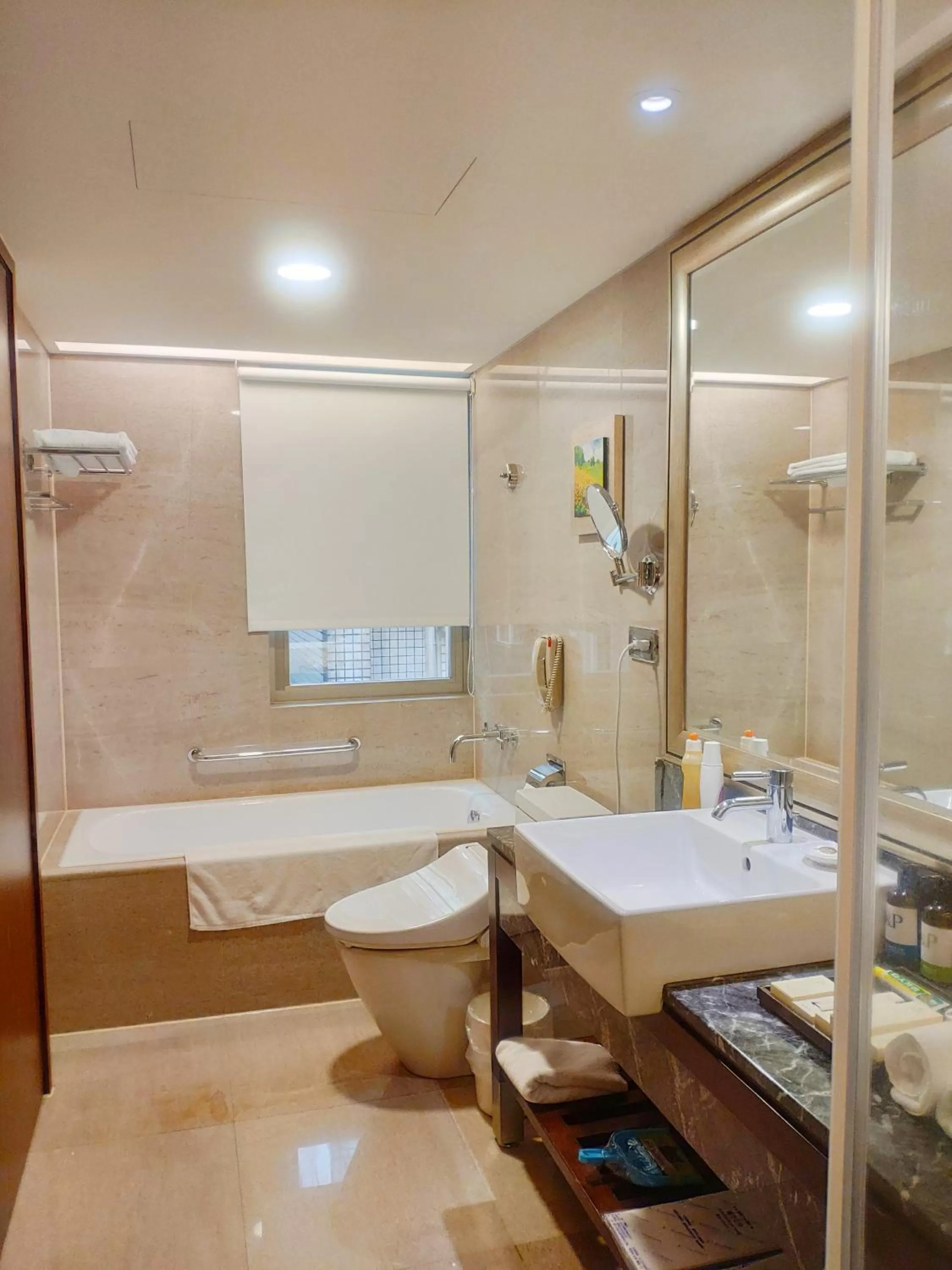 Toilet in Royal Biz Taipei Hotel