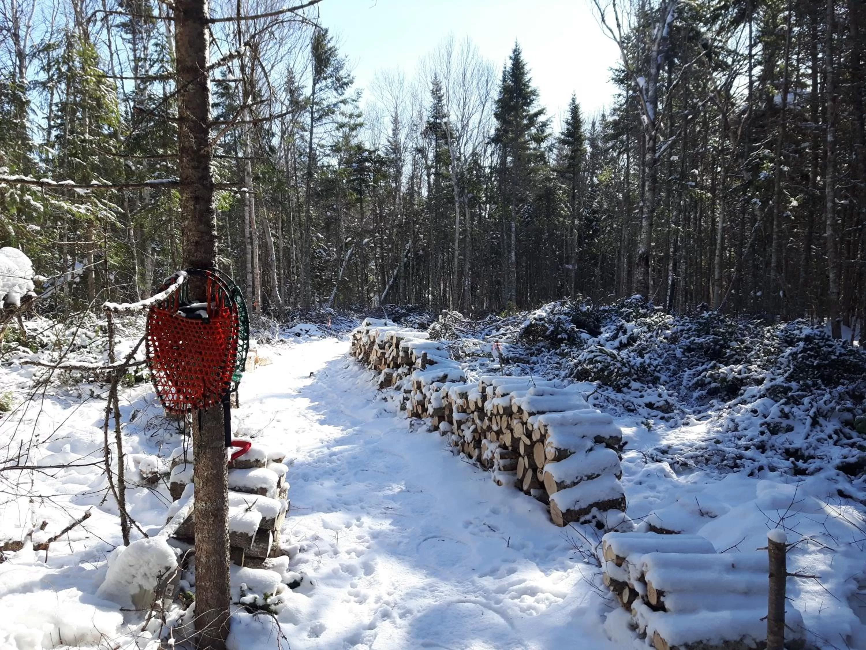 Winter in Upper Humber Settlement a FarmStay B&B