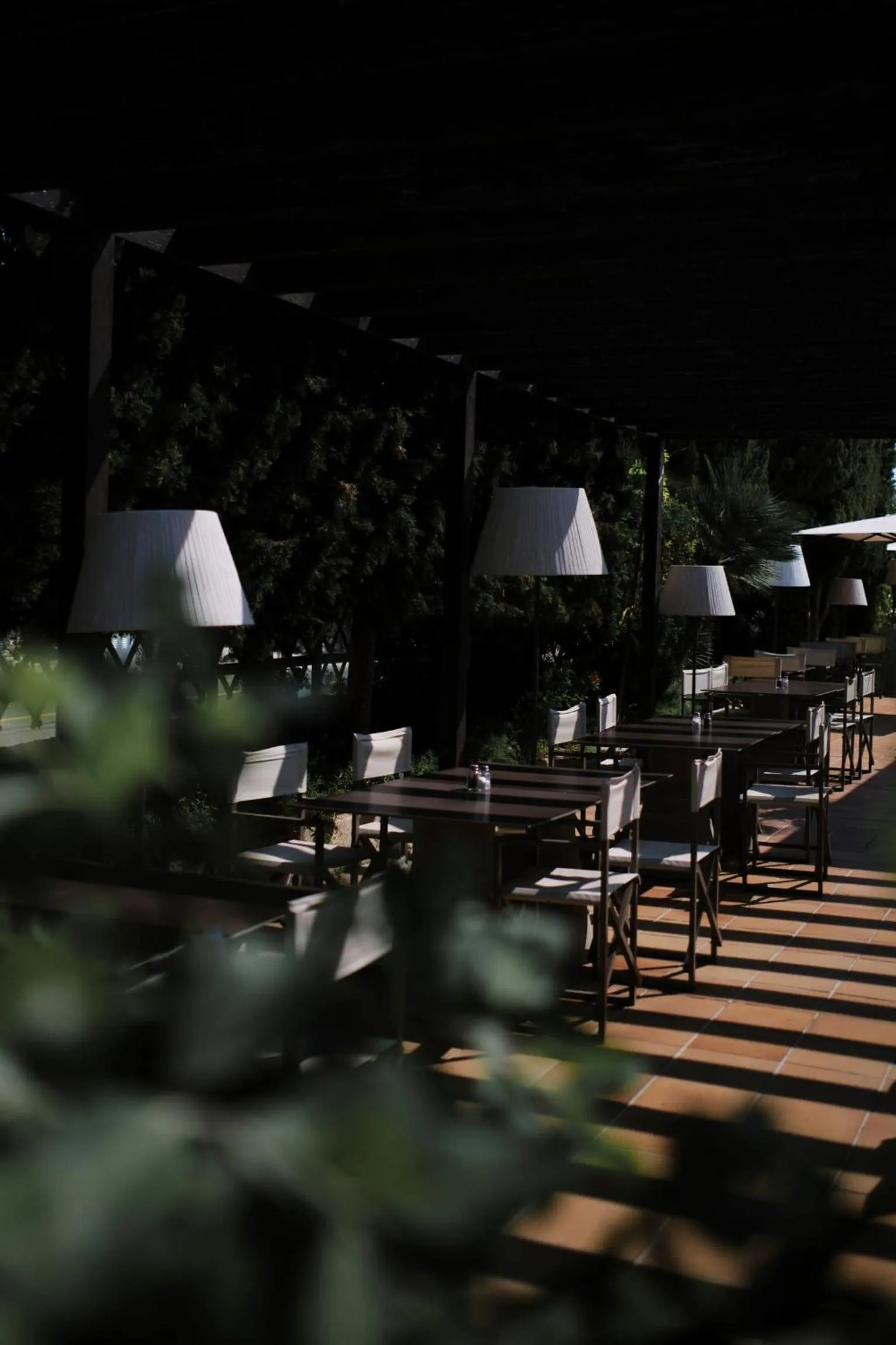 Restaurant/places to eat in Prinsotel Mal Pas - Adults Only