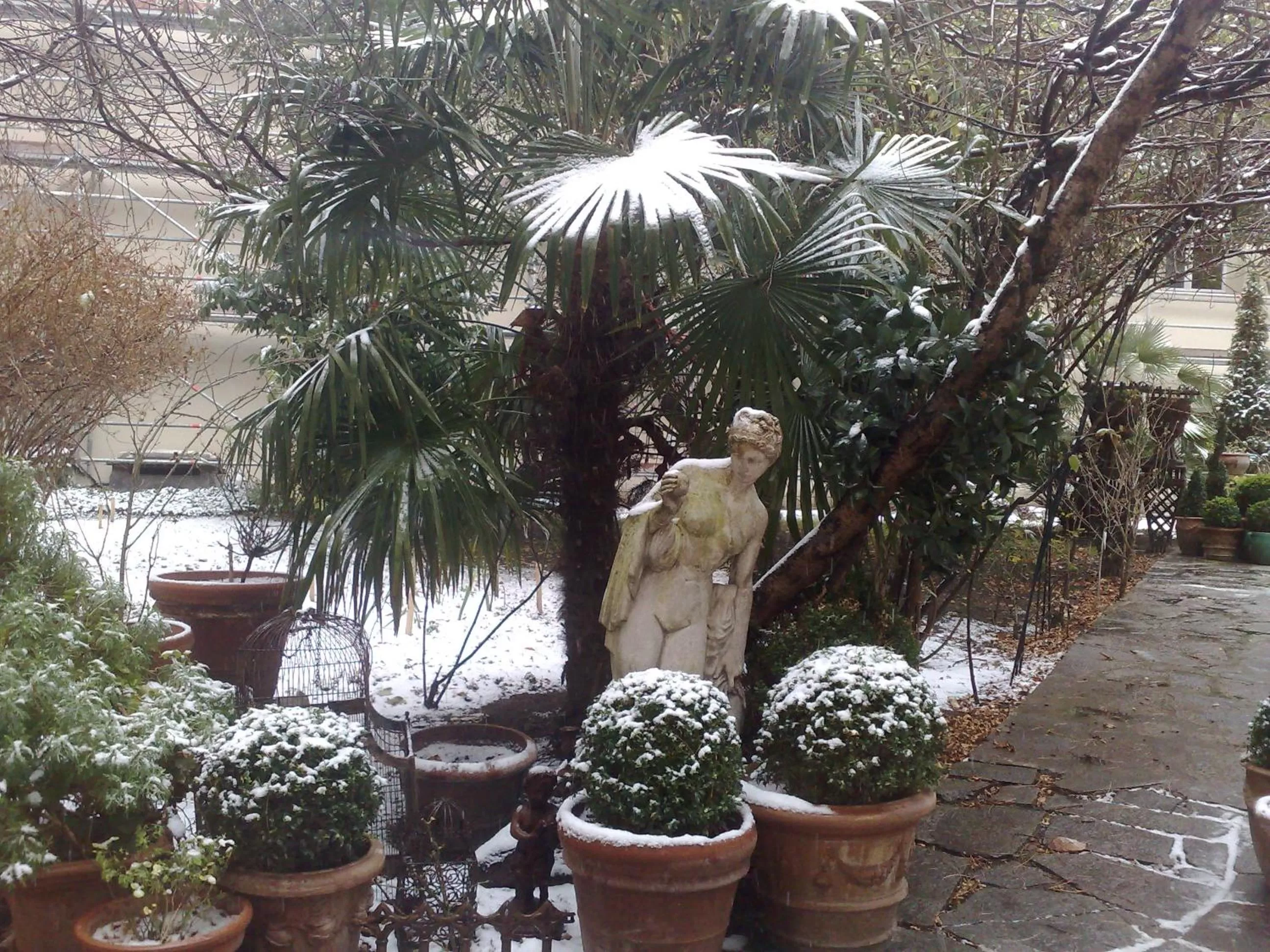 Garden in Hotel de Nesle