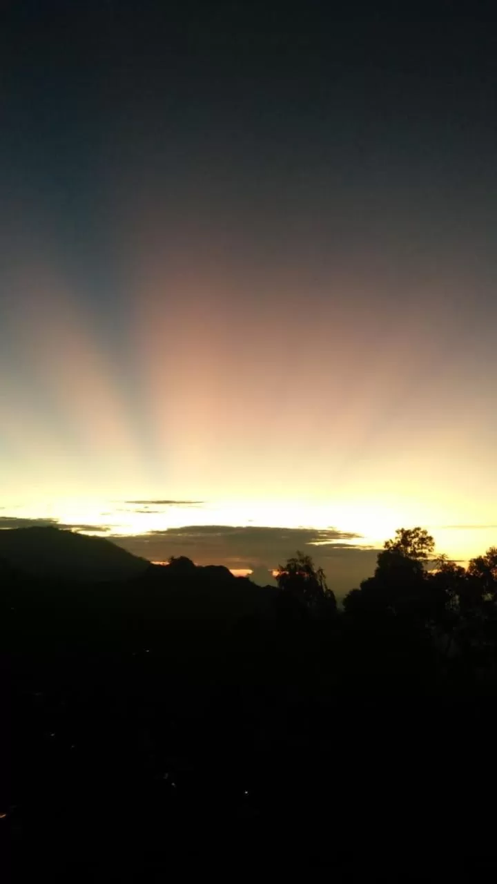 Maple home stay and cottage