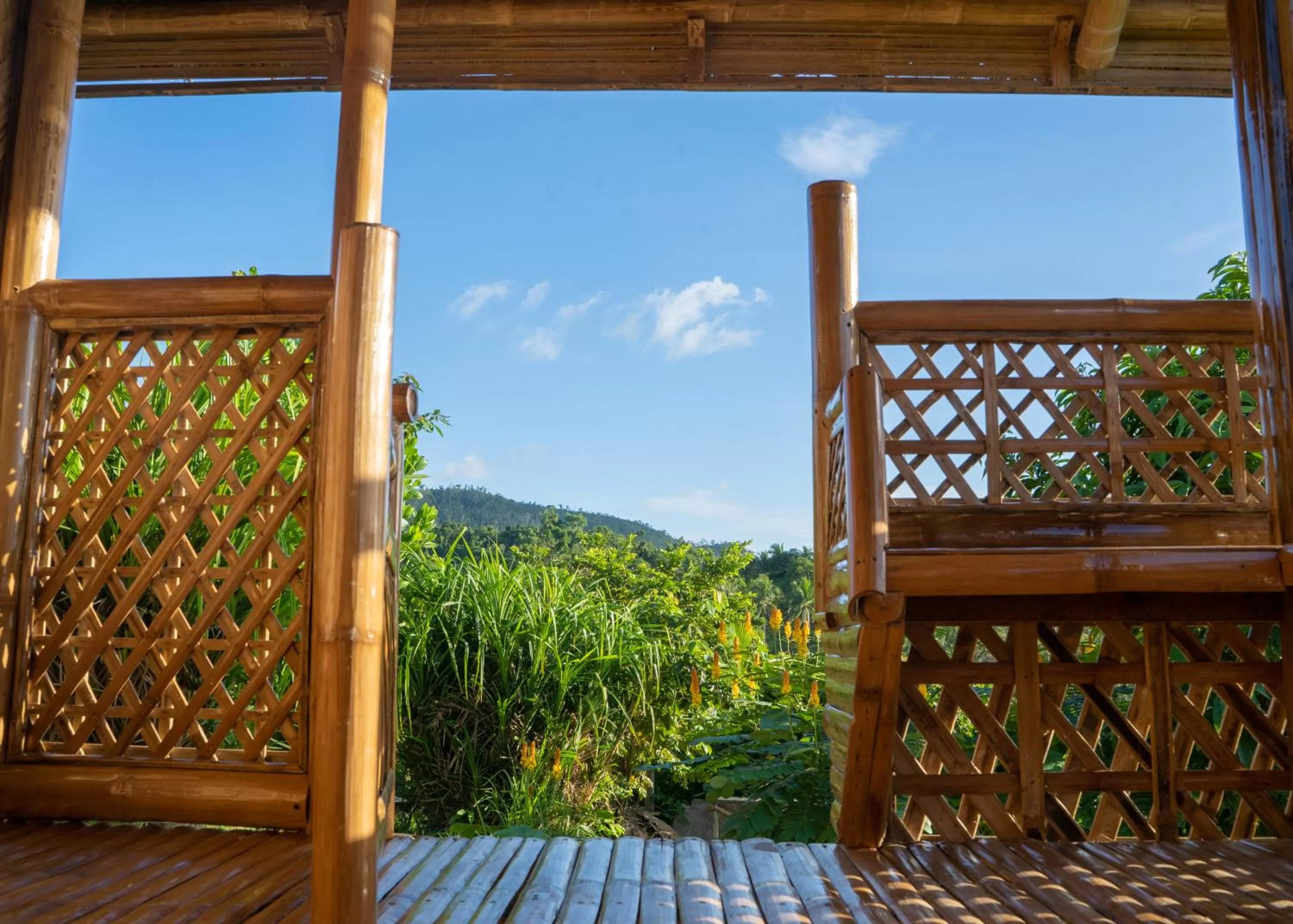 Natural landscape in Ocean Green Eco Lodge