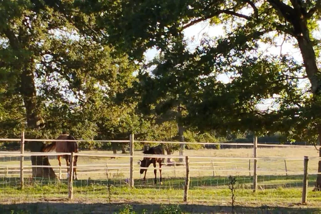 Other Activities in Les granges du chiron