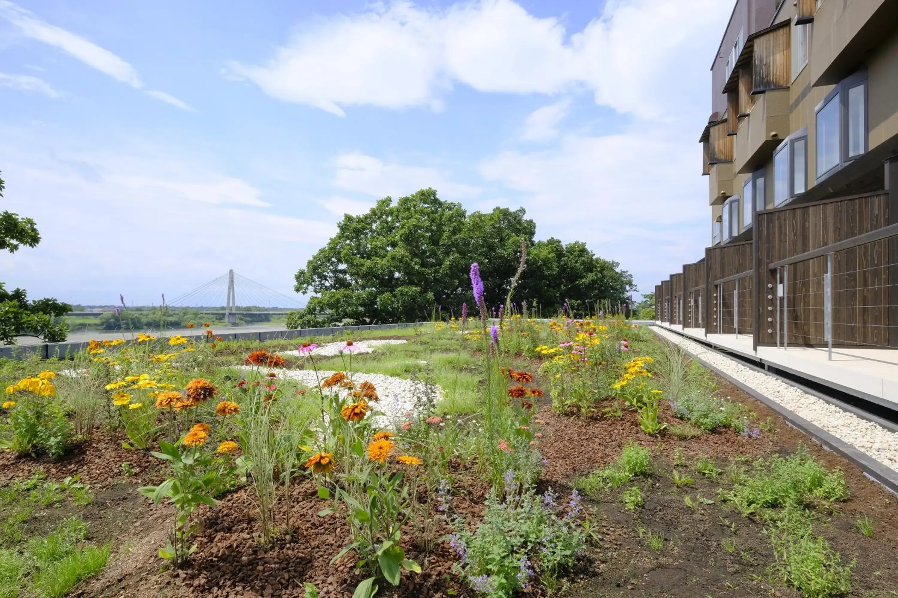 Japanese-Style Superior Room with Open-Air Bath - single occupancy - Non-Smoking in Kangetsuen Japanese-Style Superior Room with Open-Air Bath - single occupancy - Non-Smoking in Kangetsuen