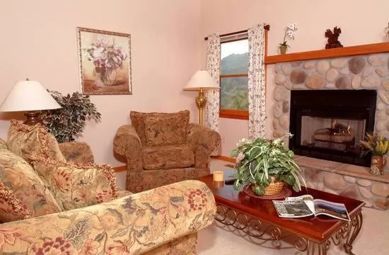 Seating Area in Berry Springs Lodge