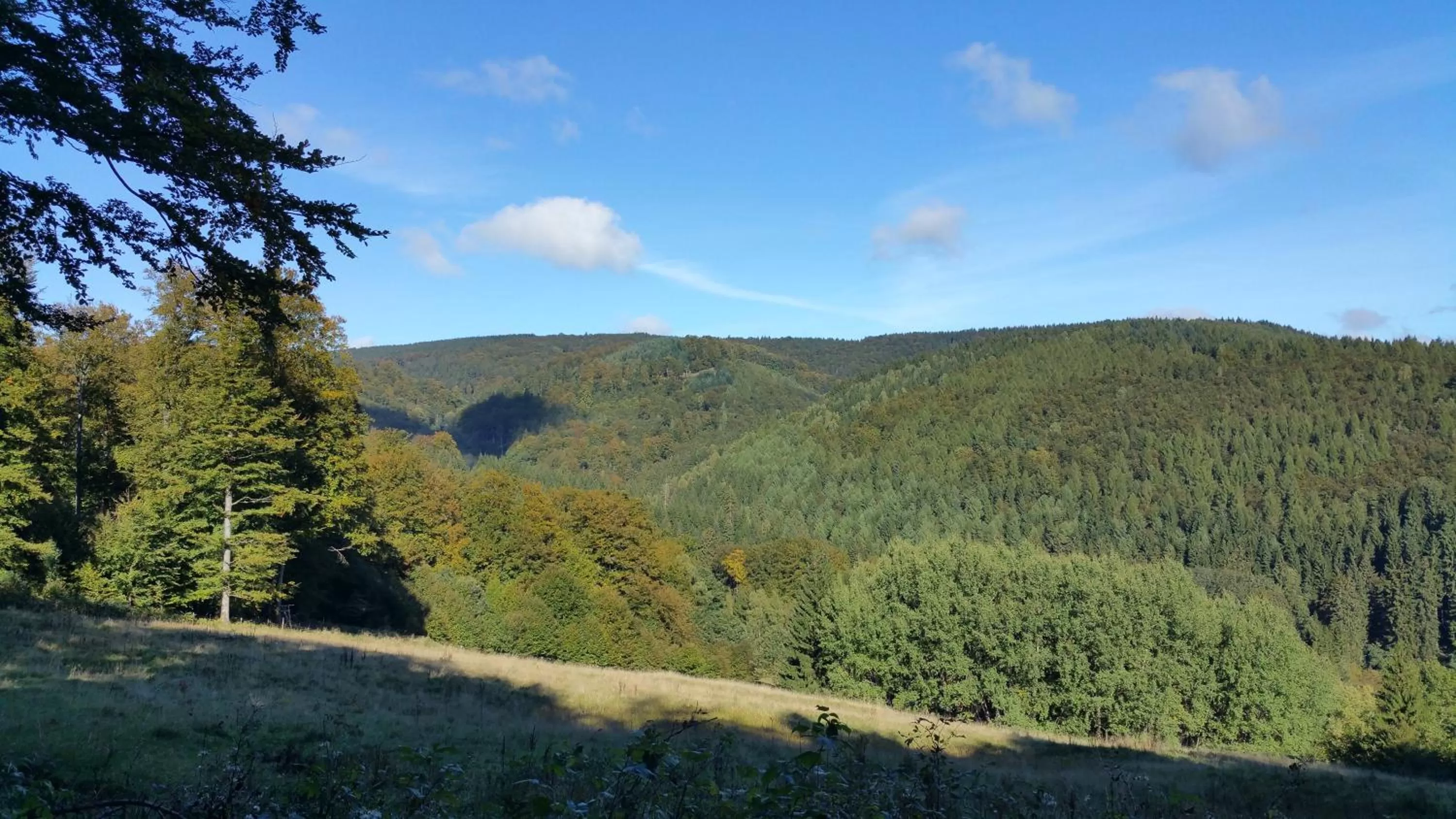 Autumn in Hotel Zur Schanze