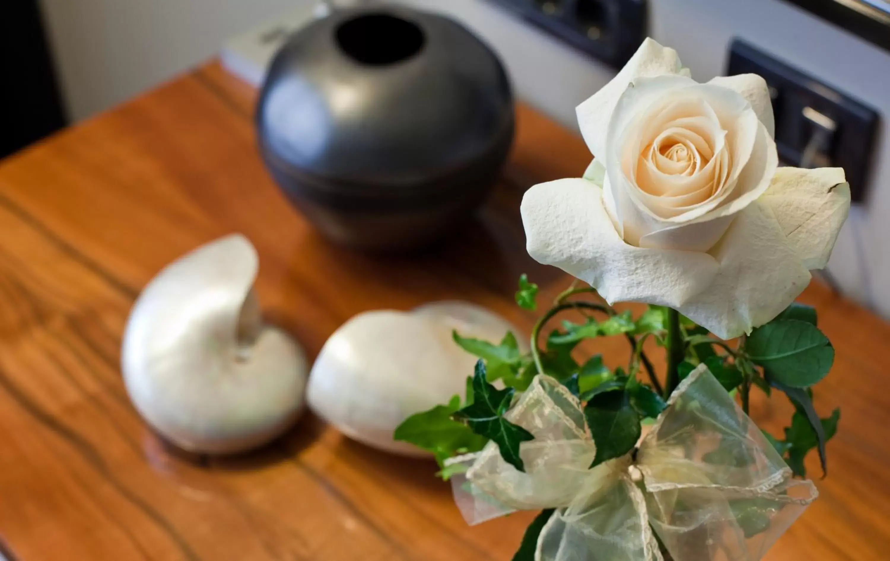 VIP Suite in Hotel Atrium VIP Suite in Hotel Atrium