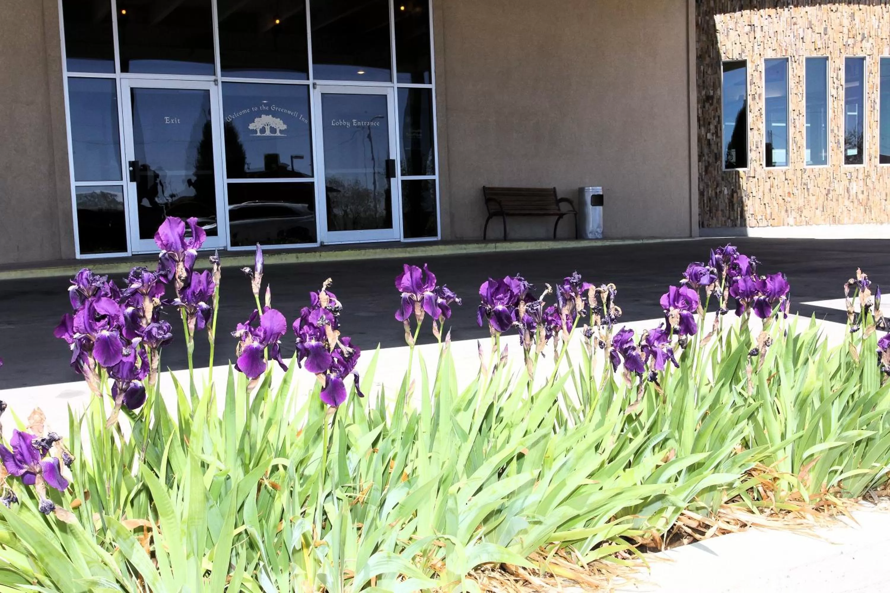 Facade/entrance in Greenwell Inn