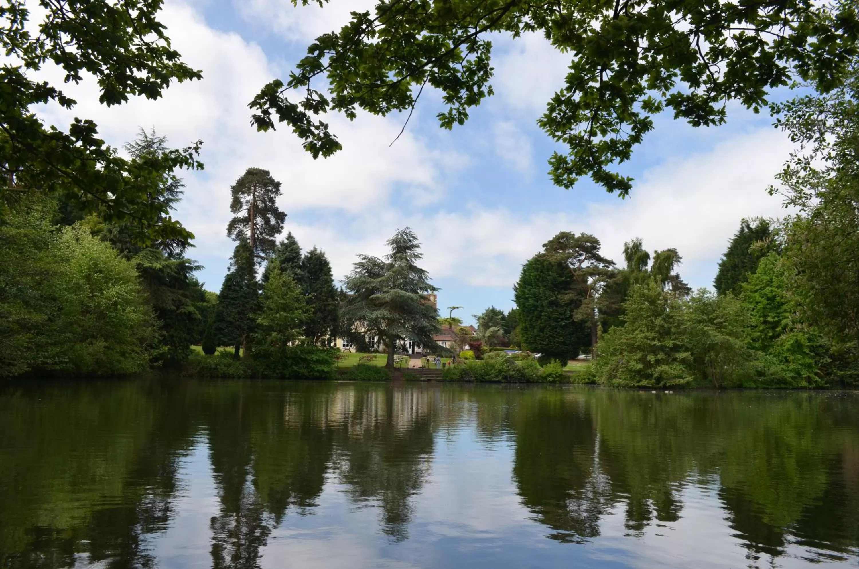 View (from property/room) in Worplesdon Place Hotel