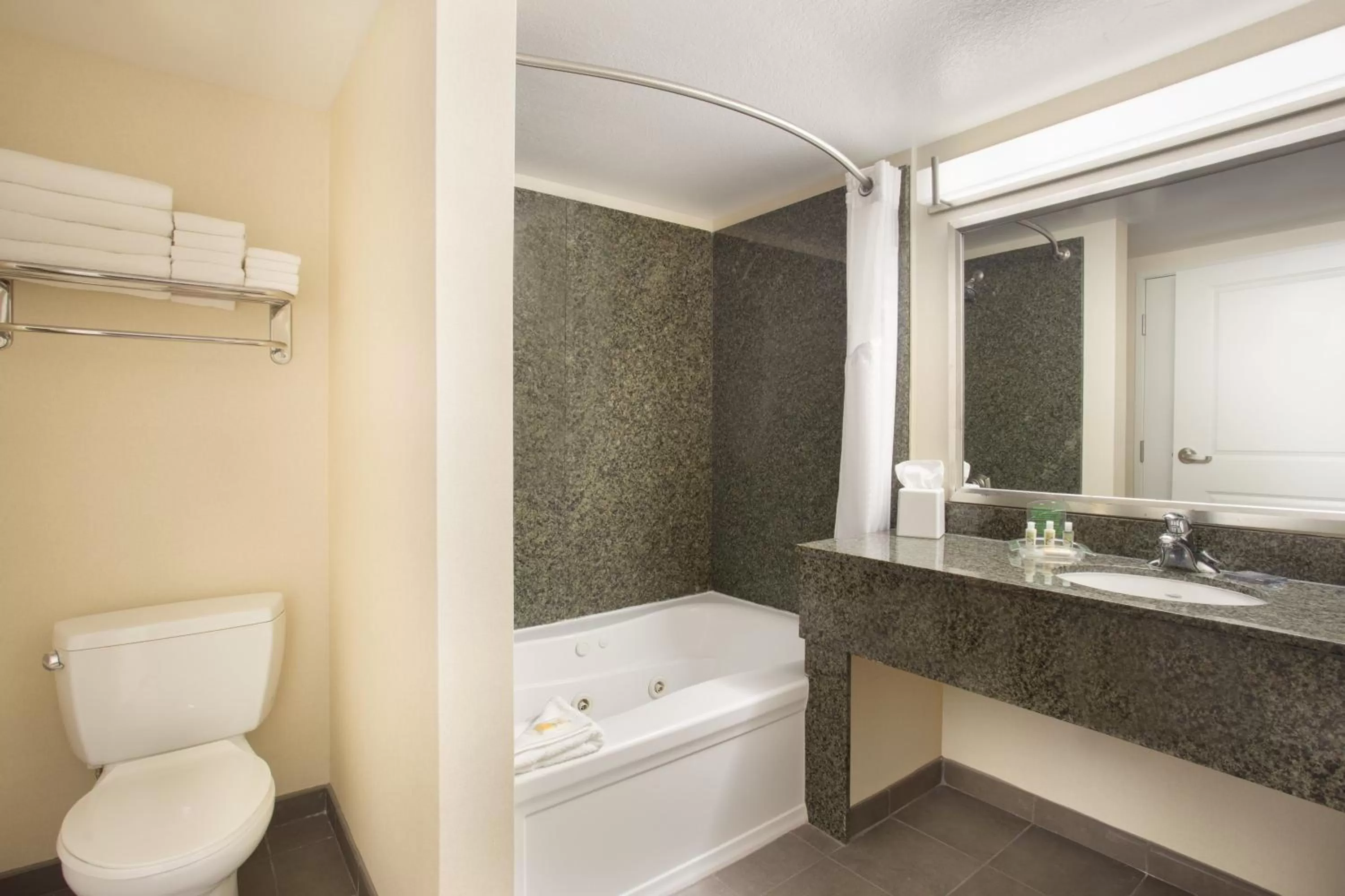 Bathroom in Holiday Inn Scottsdale North- Airpark by IHG