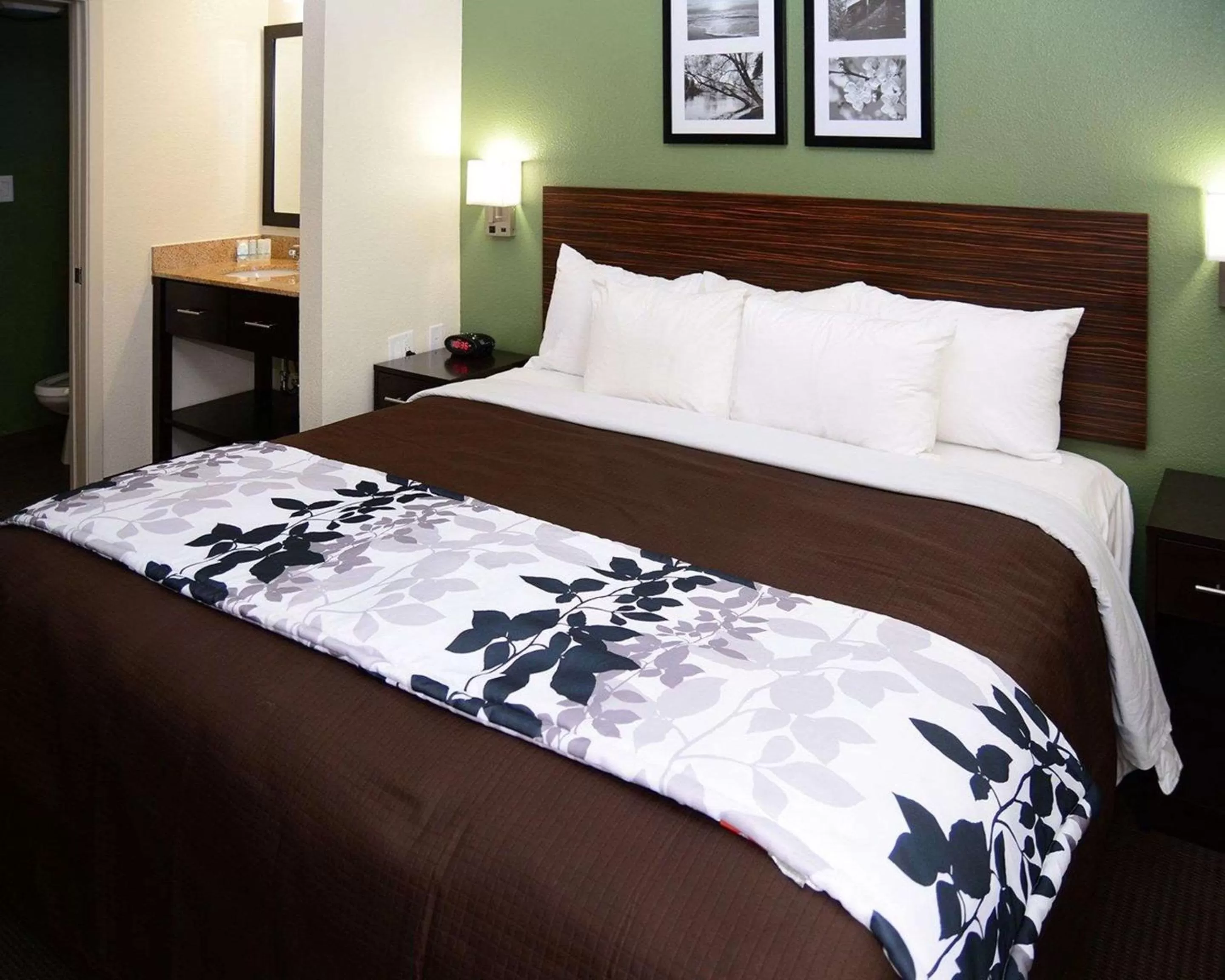 Photo of the whole room, Bed in Sleep Inn Horn Lake-Southaven