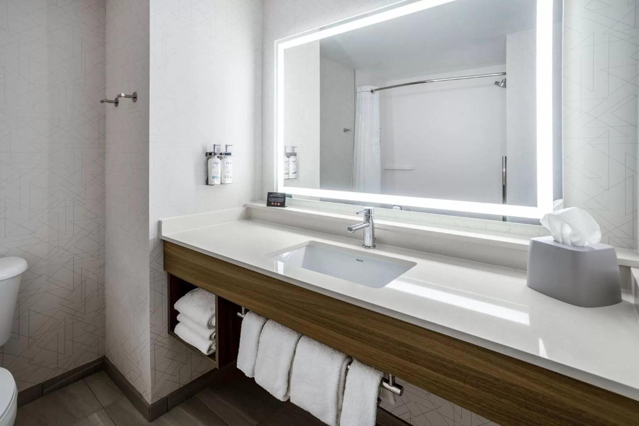 Bathroom in Holiday Inn Express and Suites Tampa I-75 at Bruce B. Downs by IHG