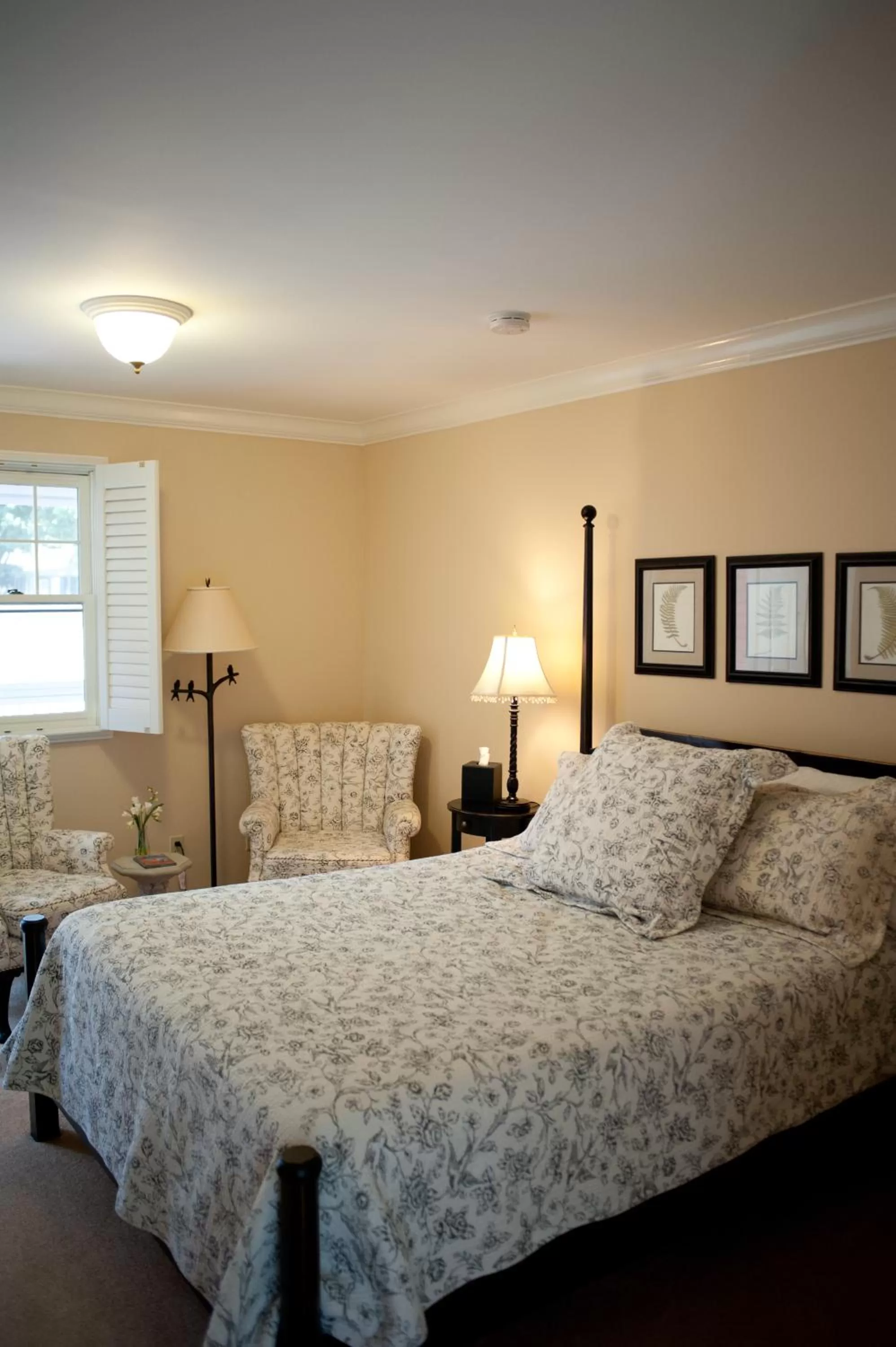 Photo of the whole room, Bed in Green Tree Inn