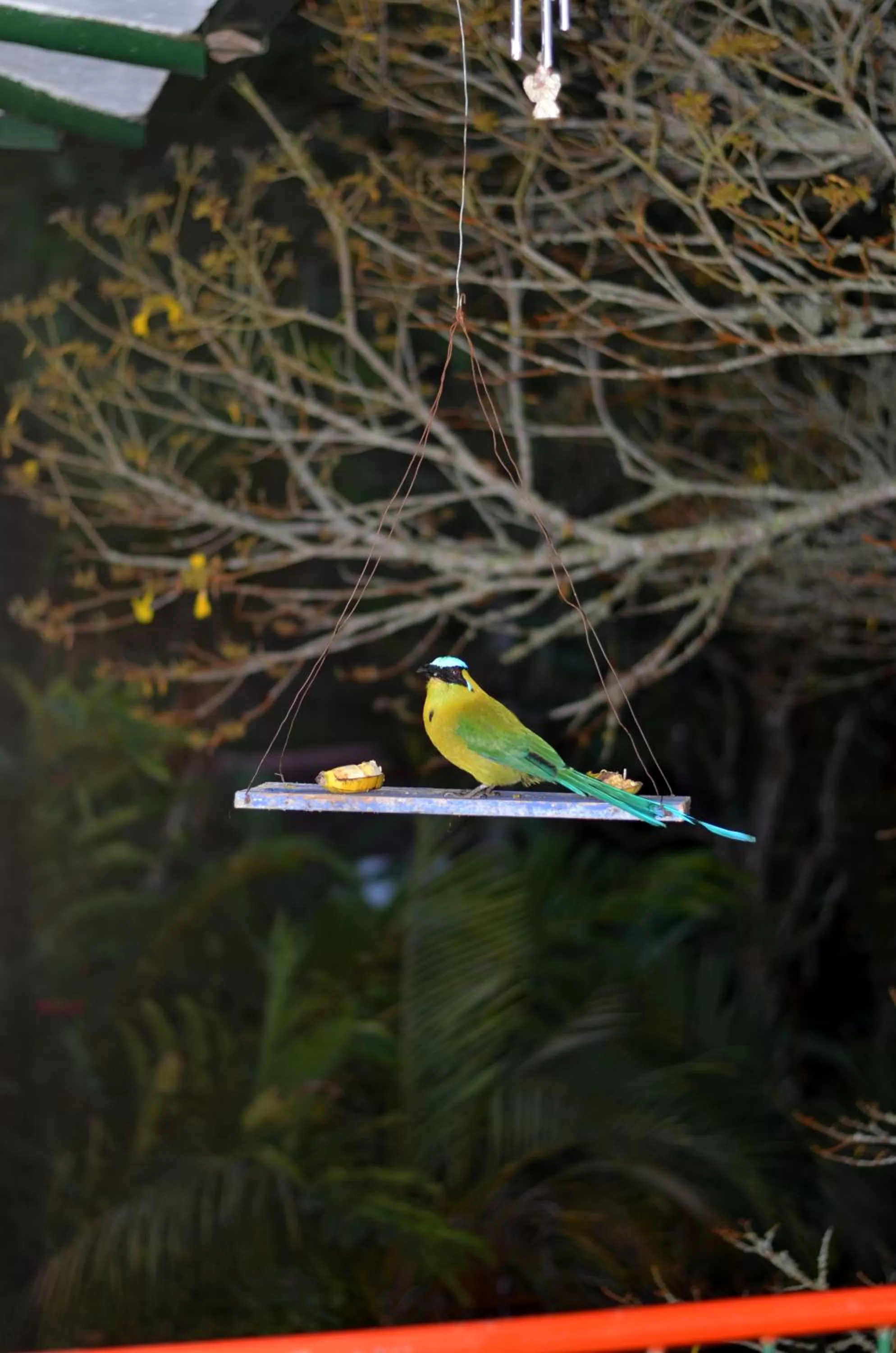 Facade/entrance in Eco Lodge La Juanita