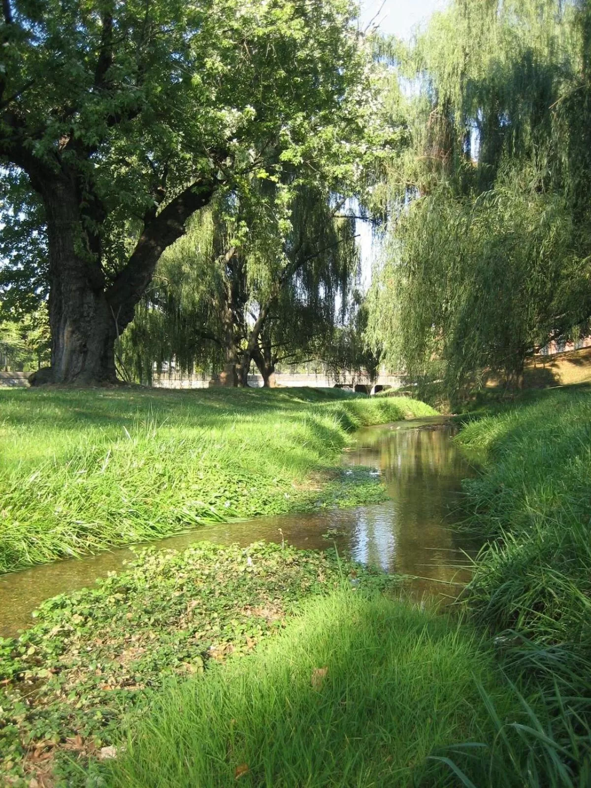Garden view in The Blackburn Inn and Conference Center