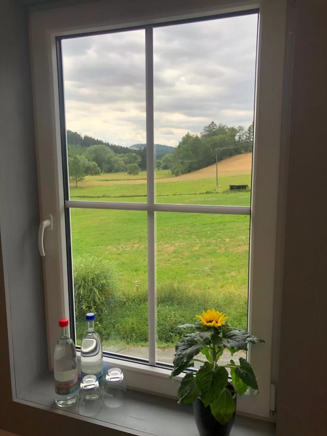 Garden view in Landgasthof Wetteraperle