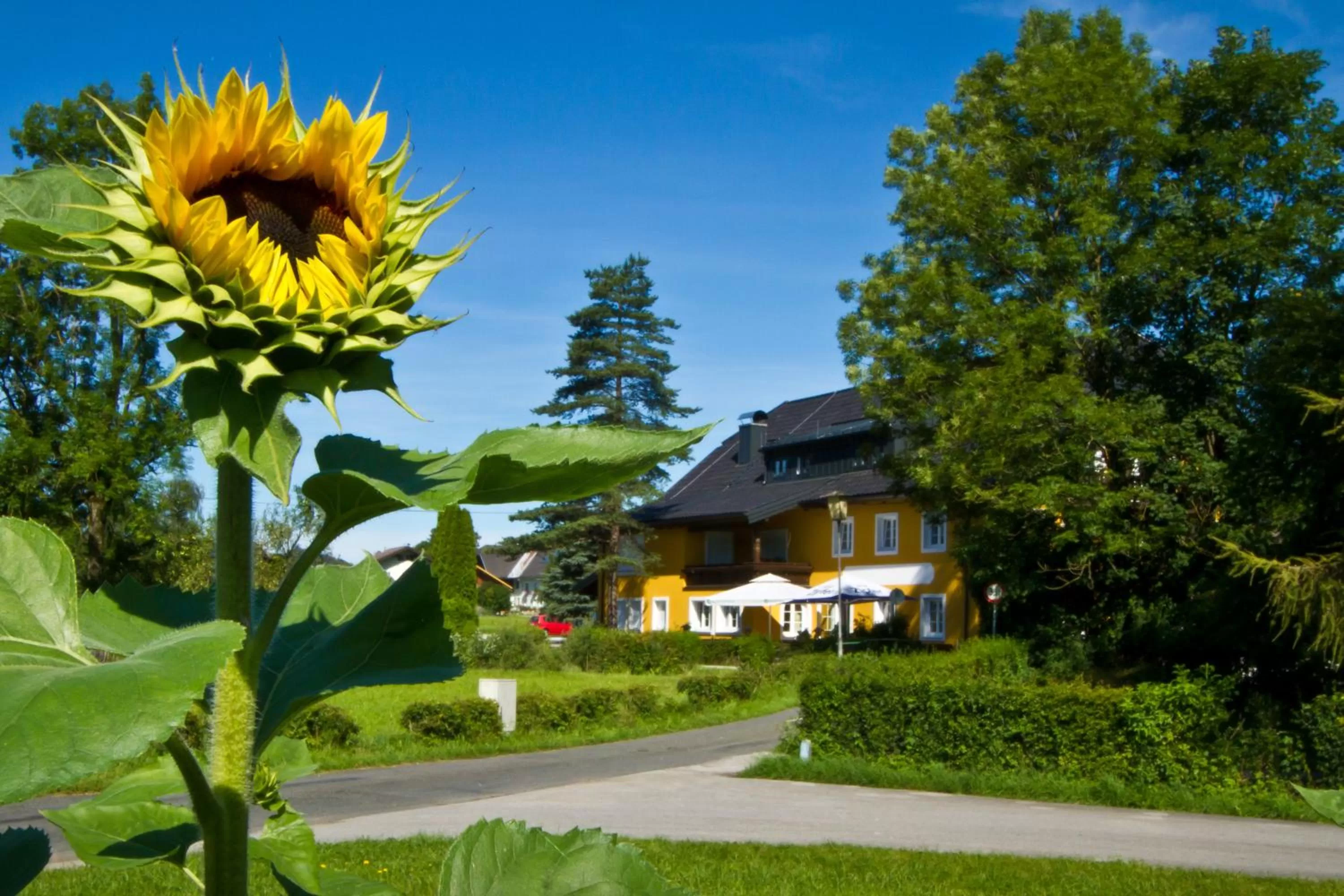 Facade/entrance in Landgasthof zum Betenmacher