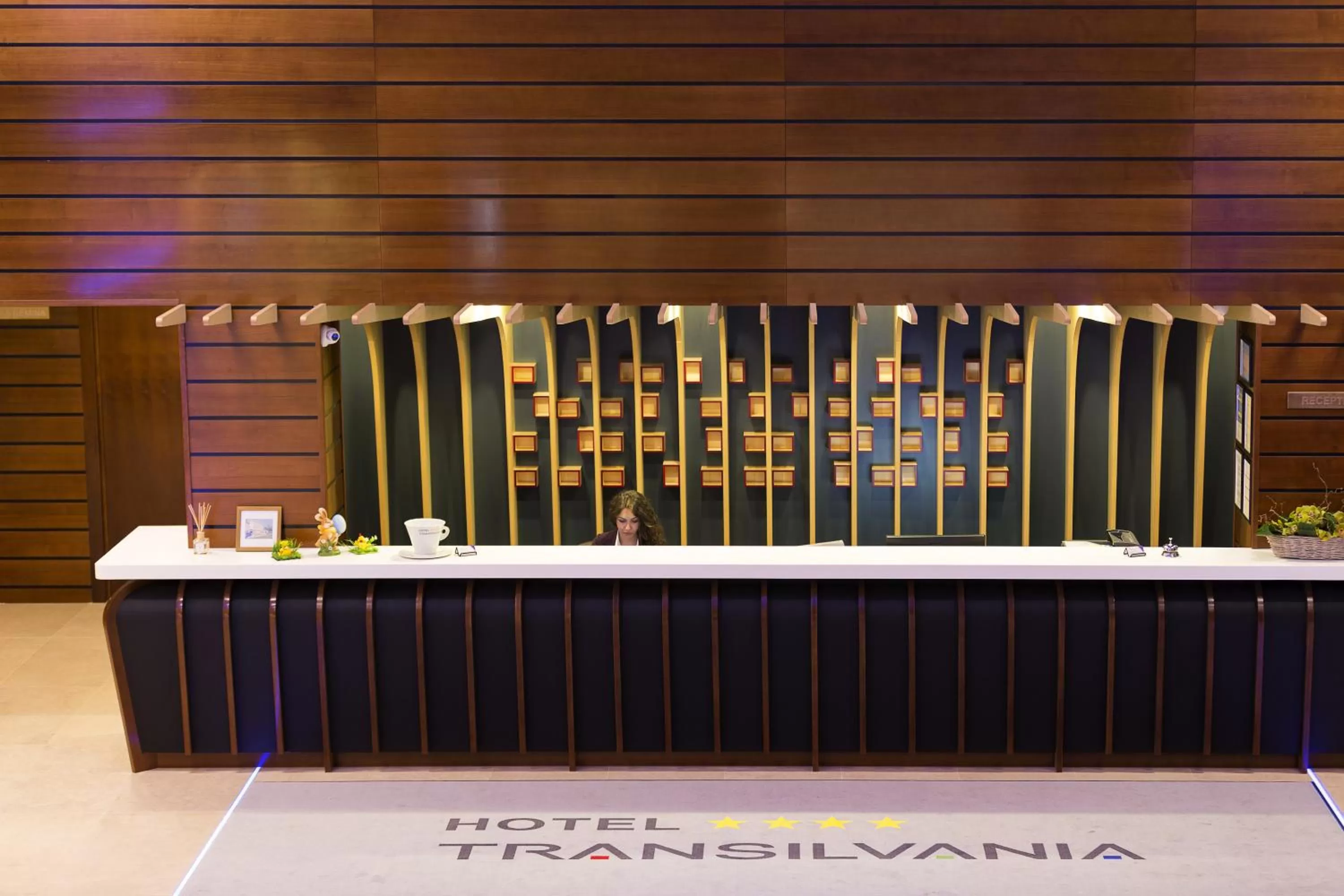 Lobby or reception in Hotel Transilvania