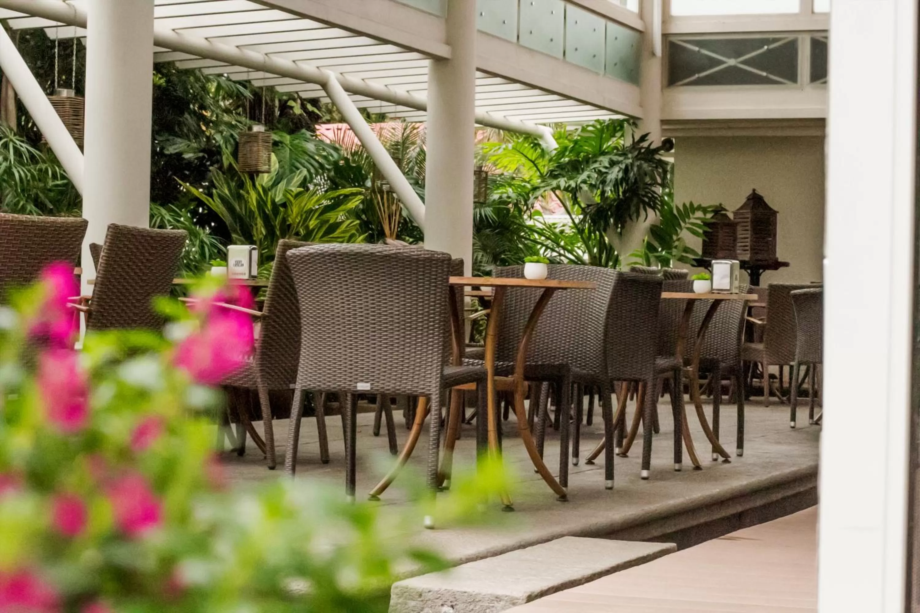 Restaurant/places to eat in La Riviera Hotel