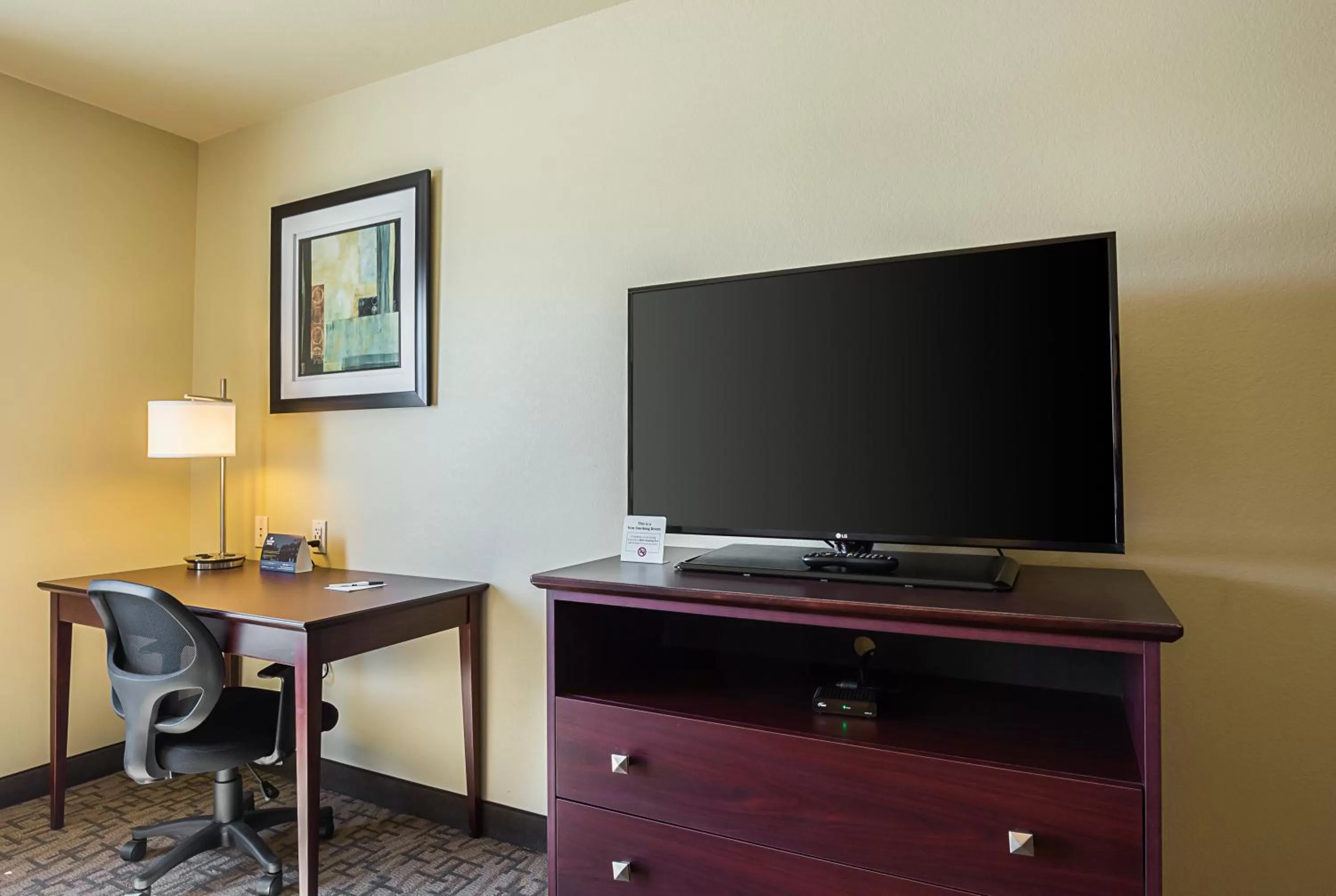 TV and multimedia in Cobblestone Inn & Suites - Altamont