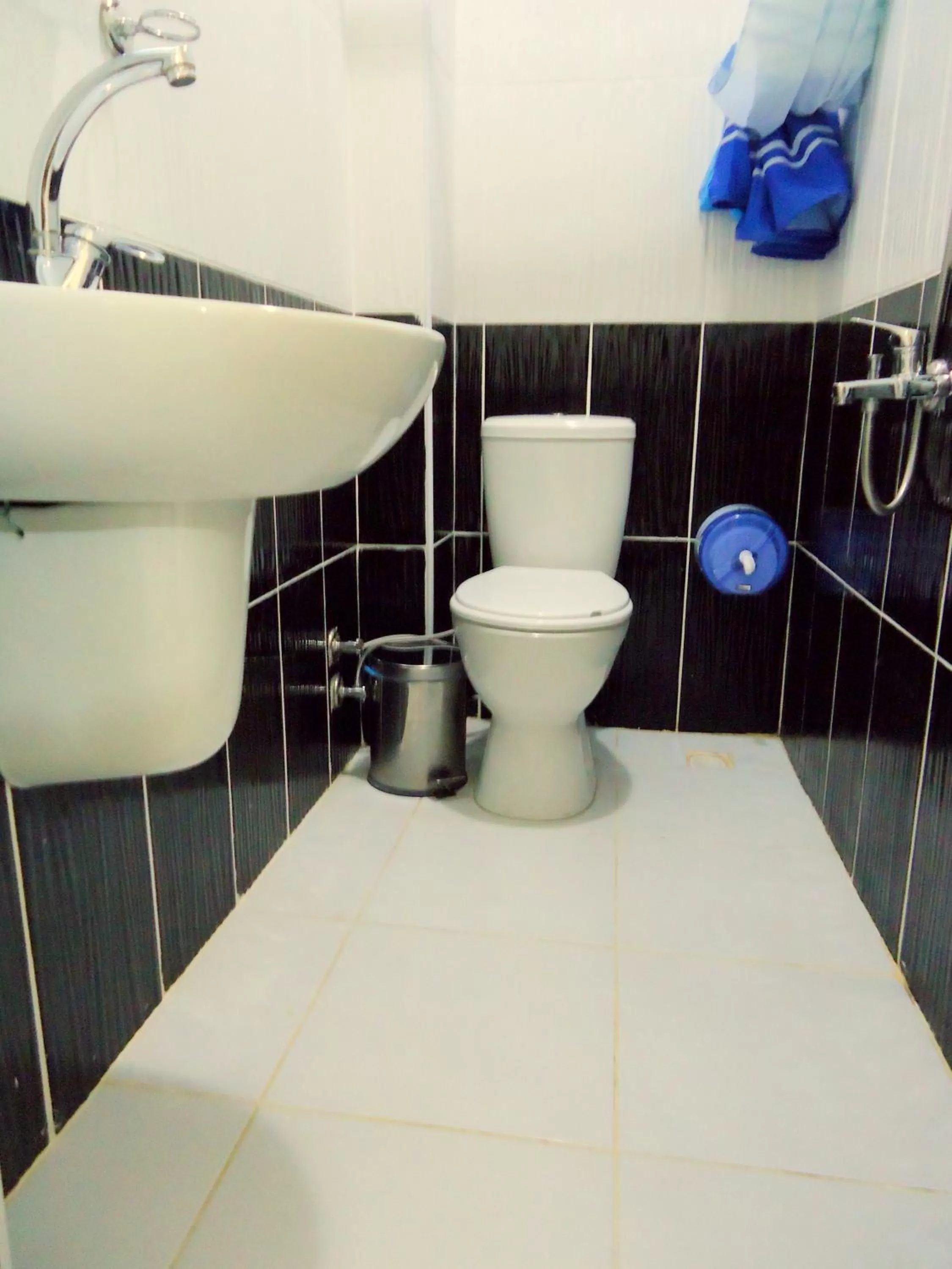 Toilet in Tolga Hotel