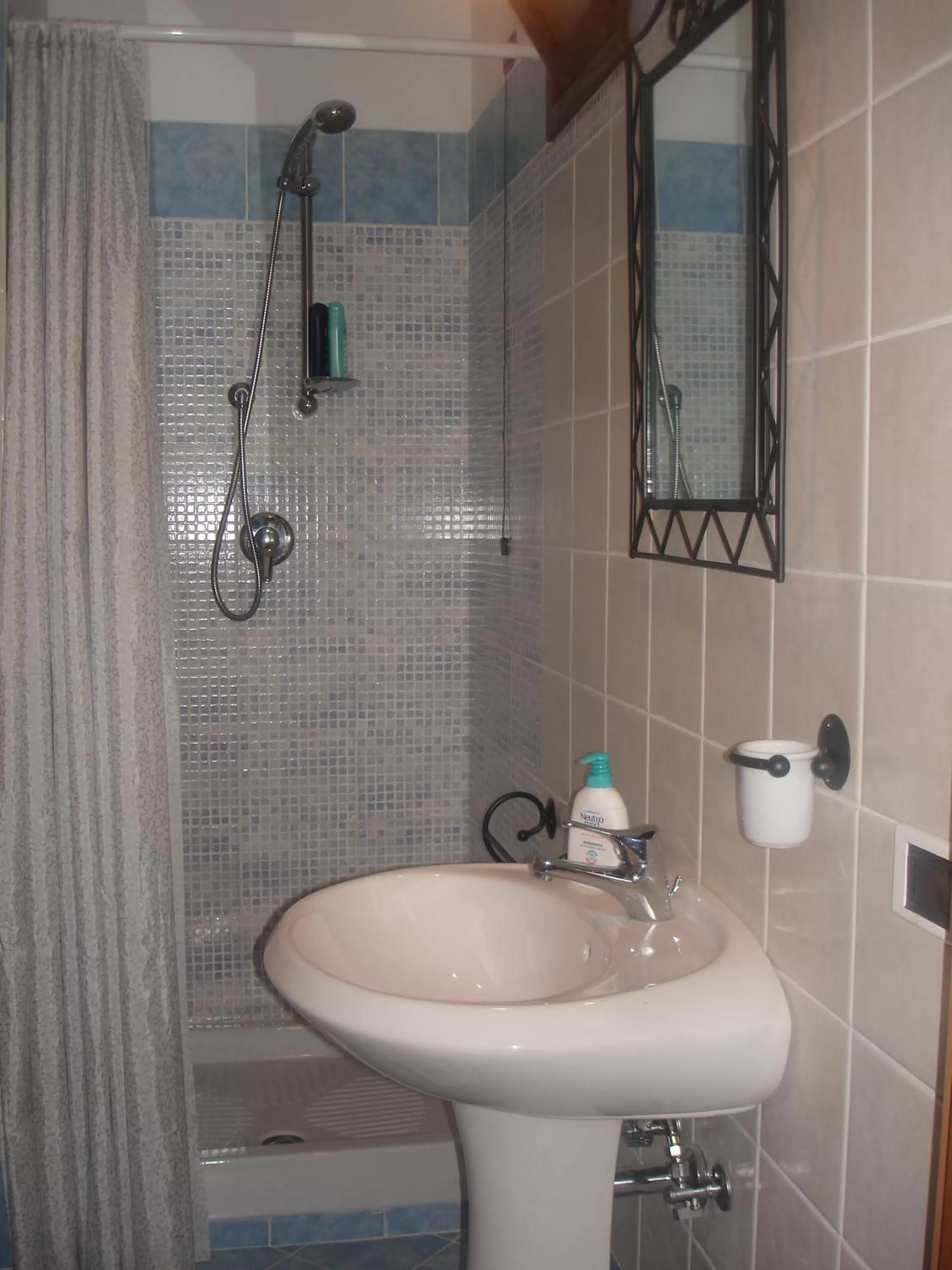 Double or Twin Room with Shower in B&B Le Palme
