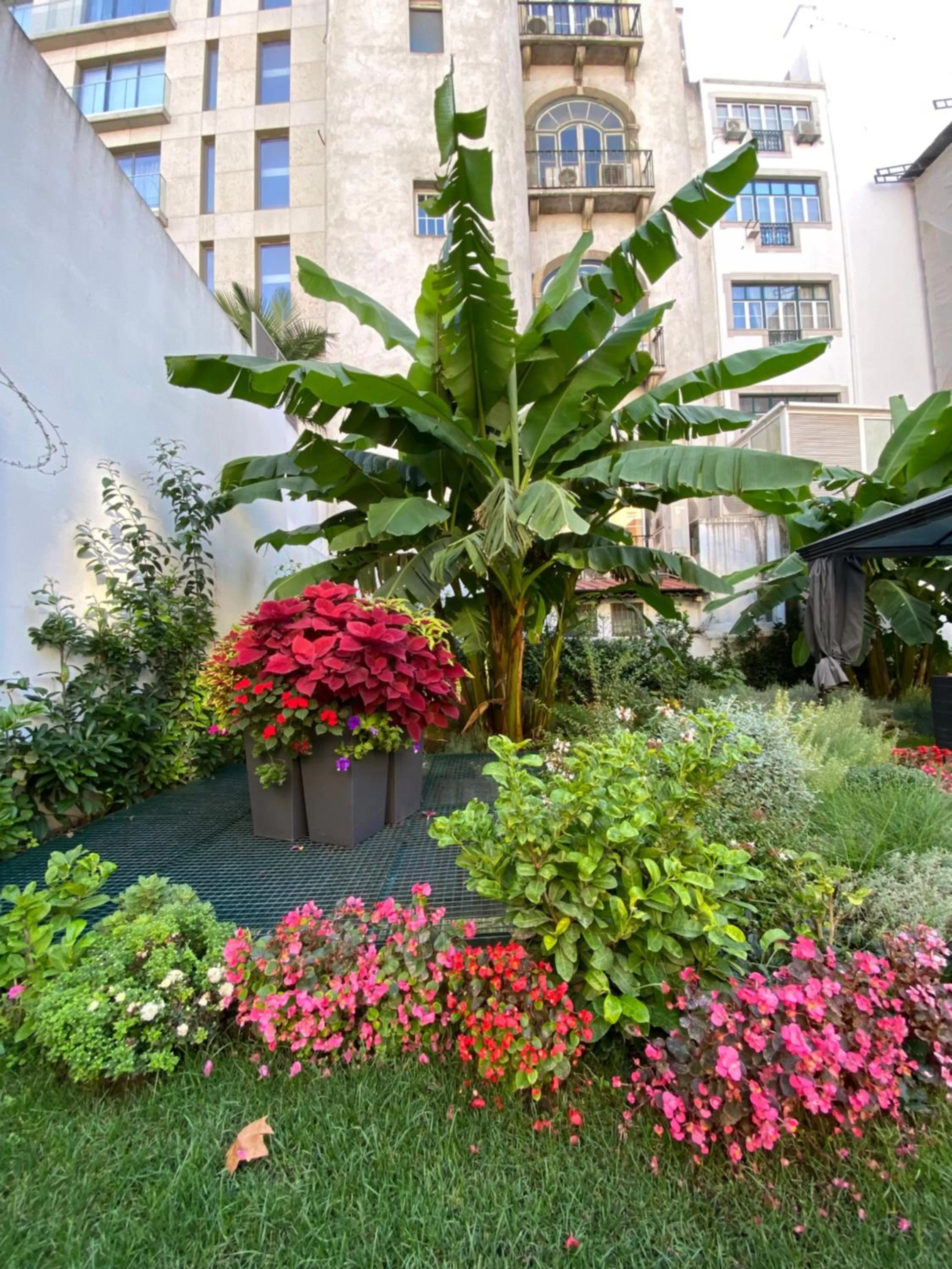 Garden in TM Luxury Apartments Lisbon