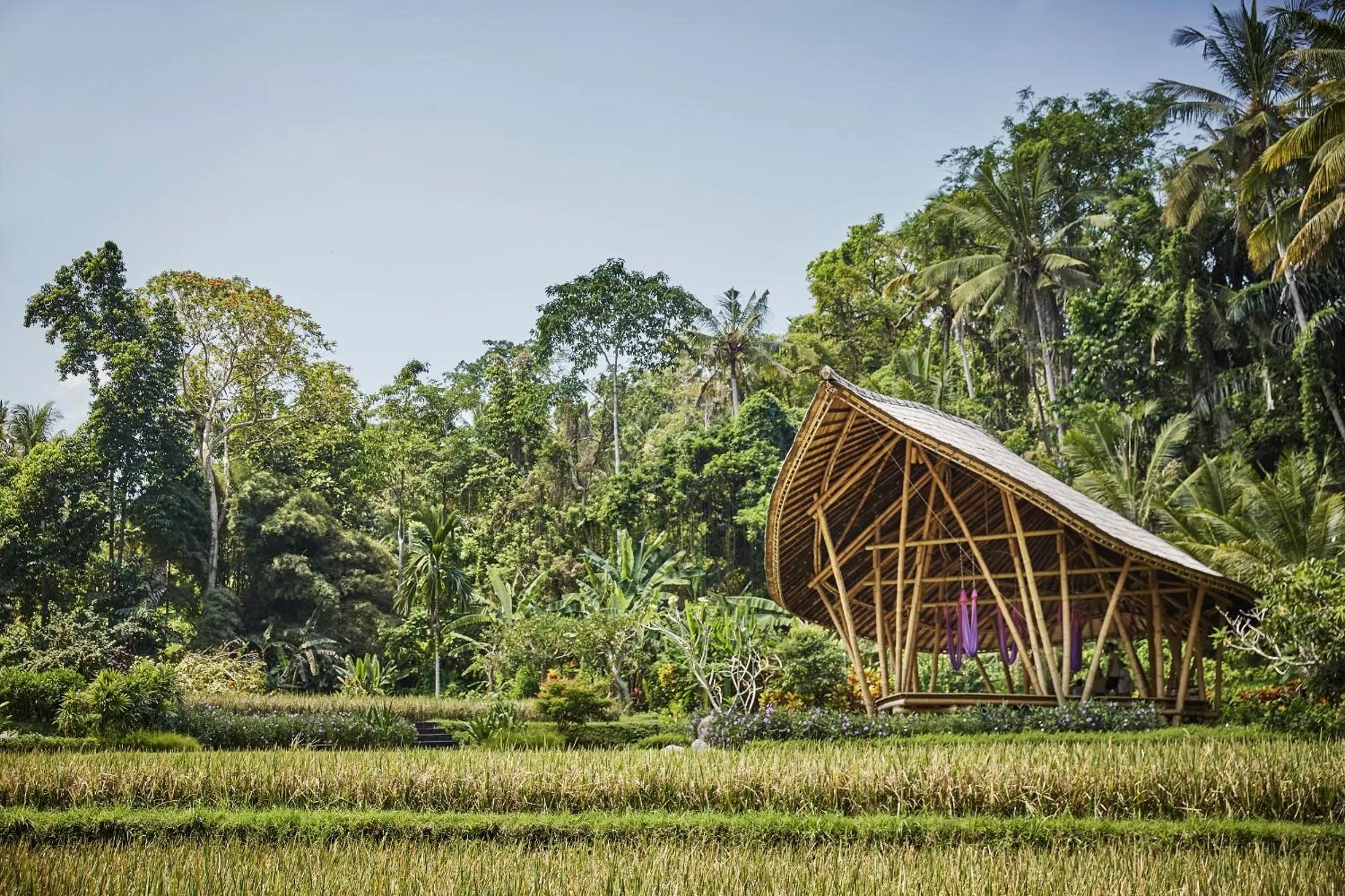 Natural landscape in Four Seasons Resort Bali at Sayan